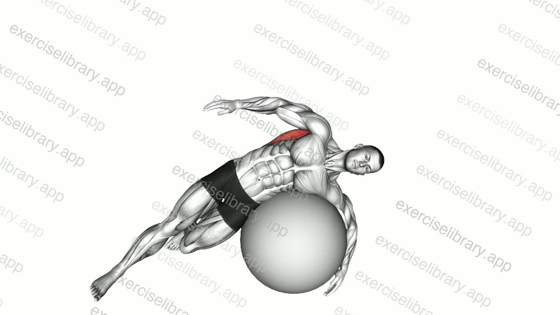 Exercise Ball Lying Side Lat Stretch demonstration