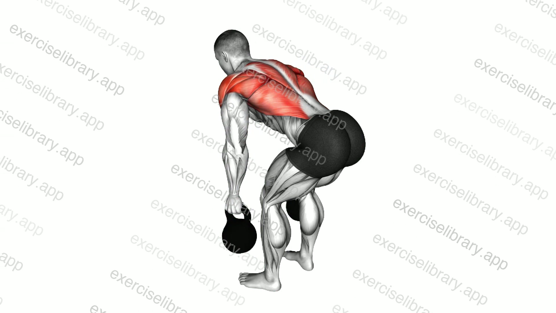 Kettlebell Two Arm Row demonstration