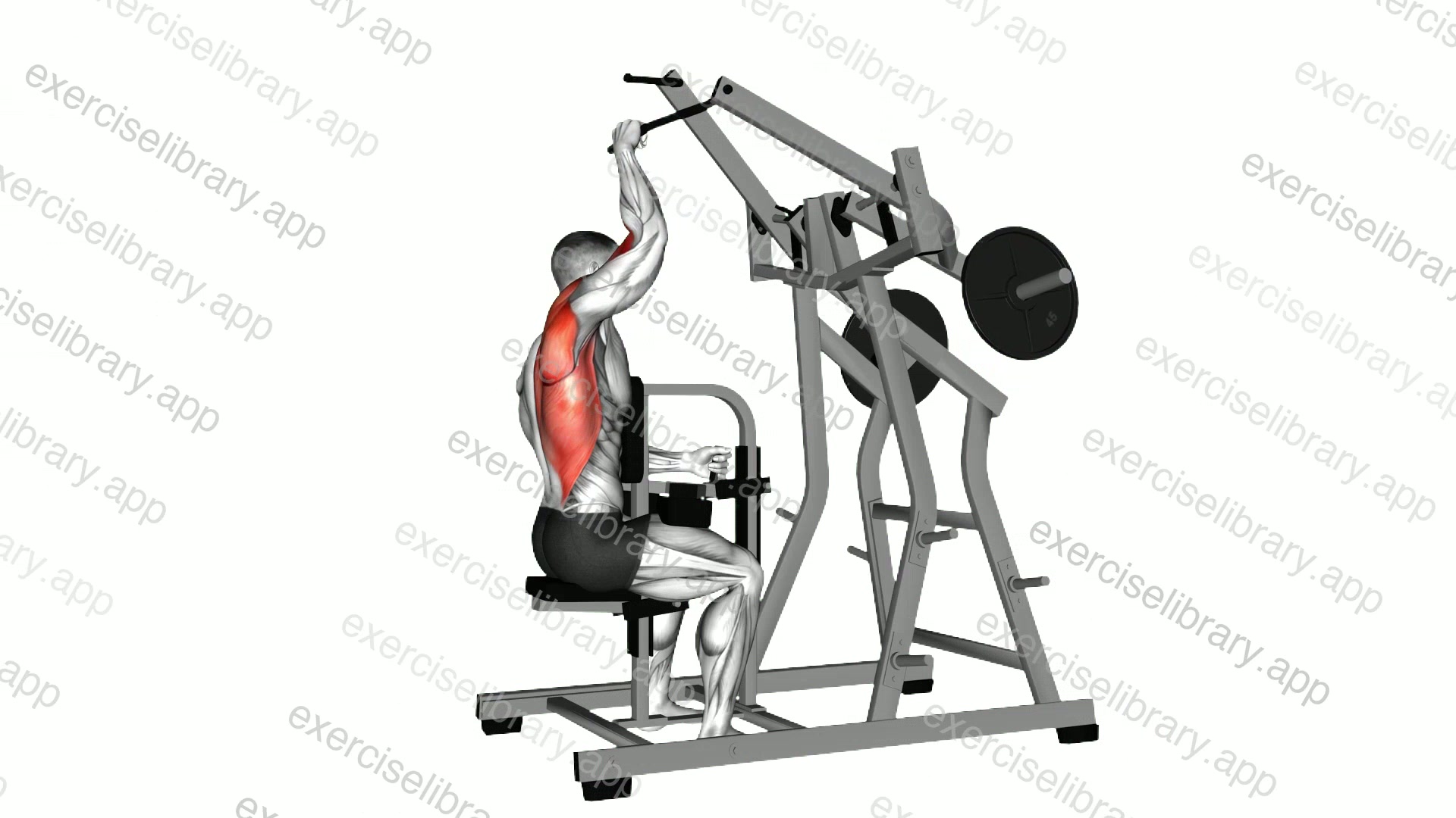 Lever One Arm Lateral Wide Pulldown demonstration