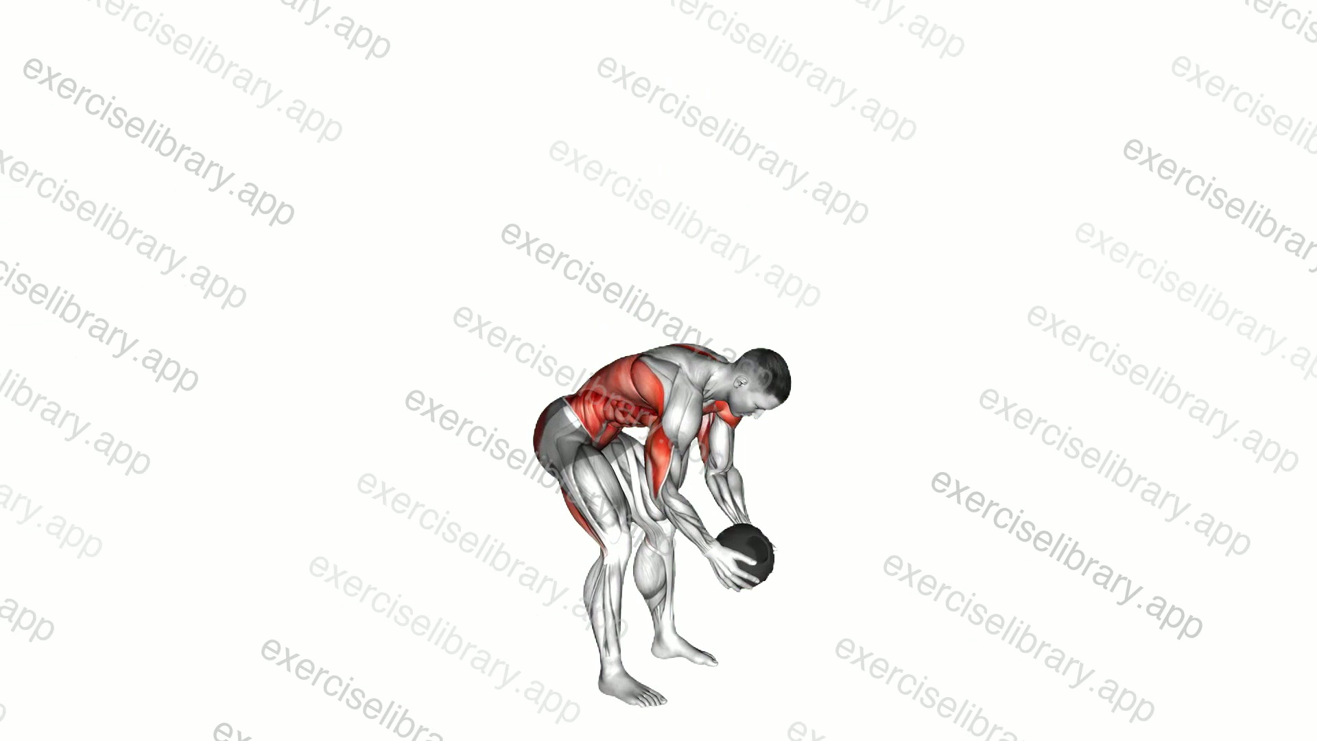 Medicine Ball Catch and Overhead Throw demonstration