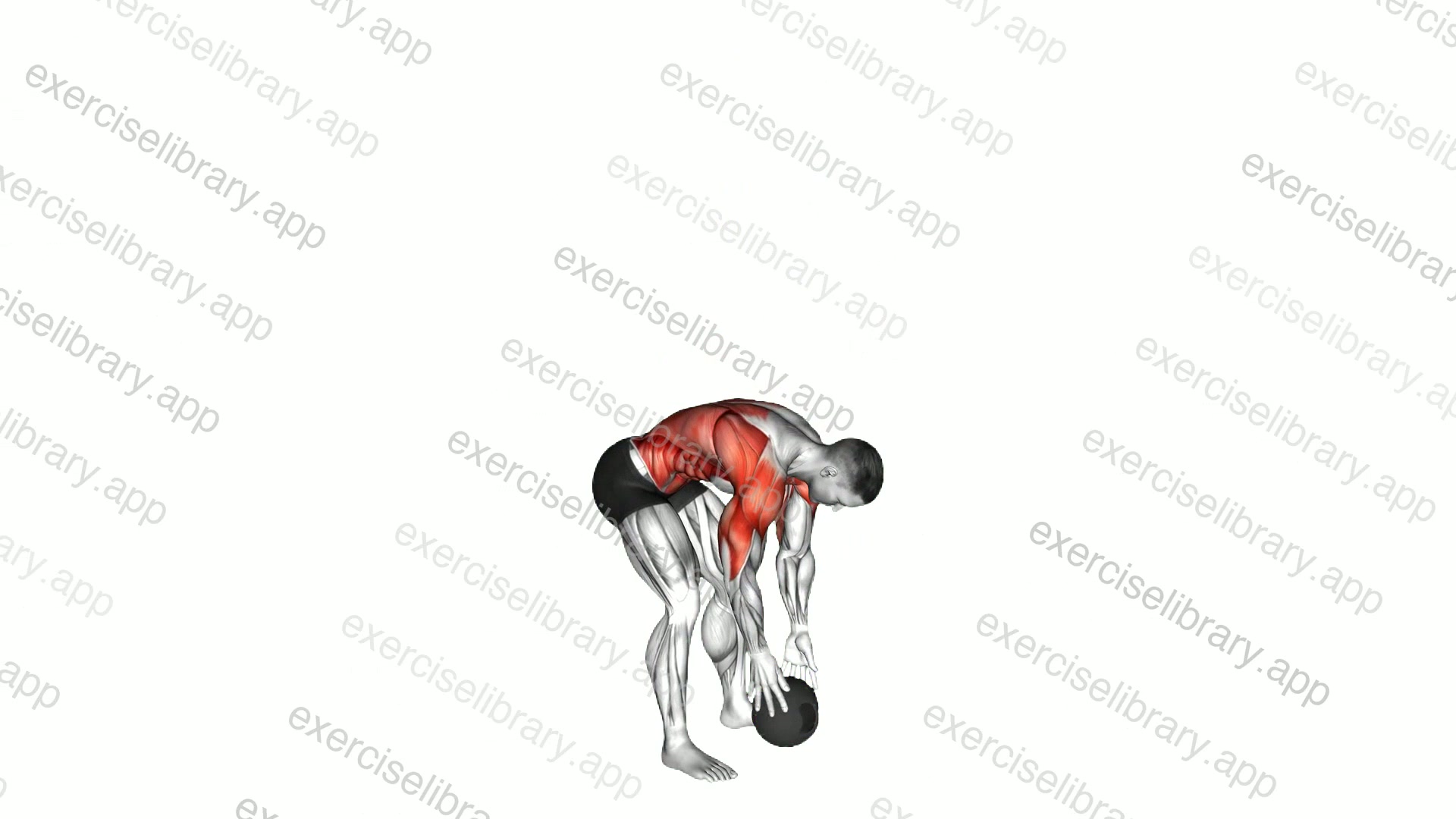 Medicine Ball Overhead Slam demonstration