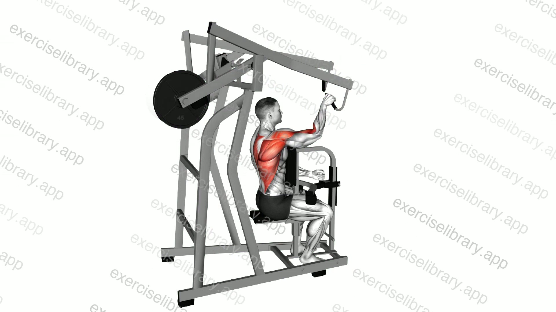 Lever One Arm Lateral High Row demonstration
