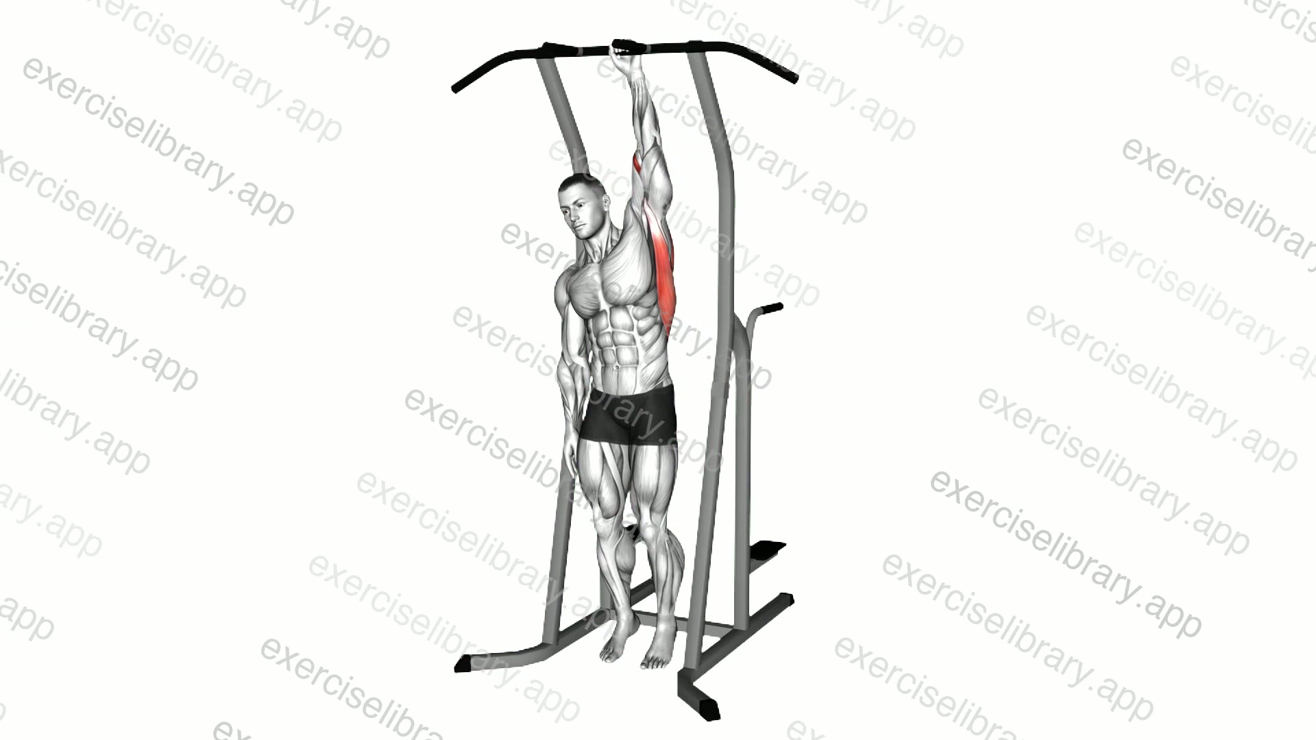 One Handed Hang Stretch demonstration