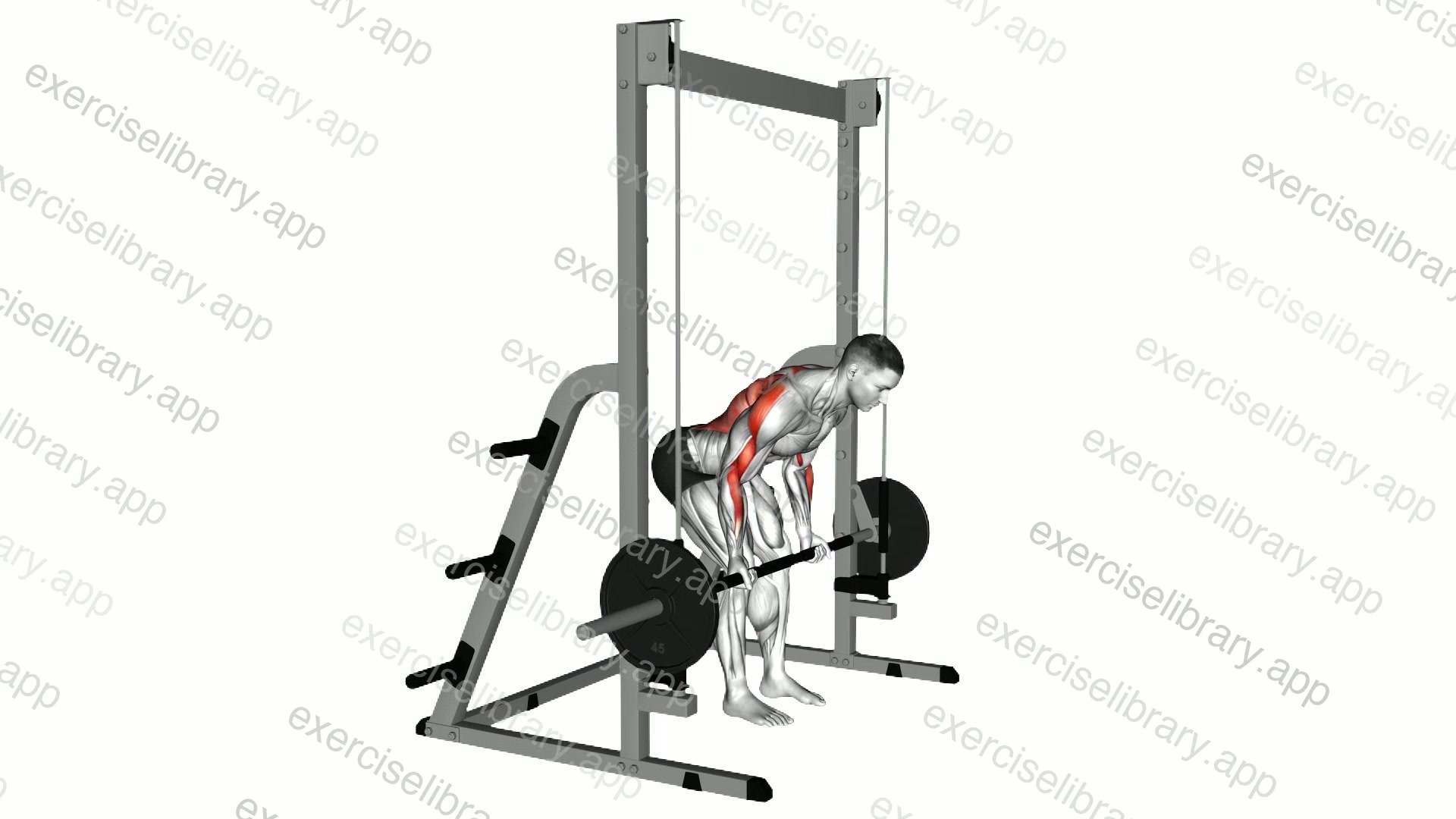 Smith Reverse Grip Bent Over Row demonstration