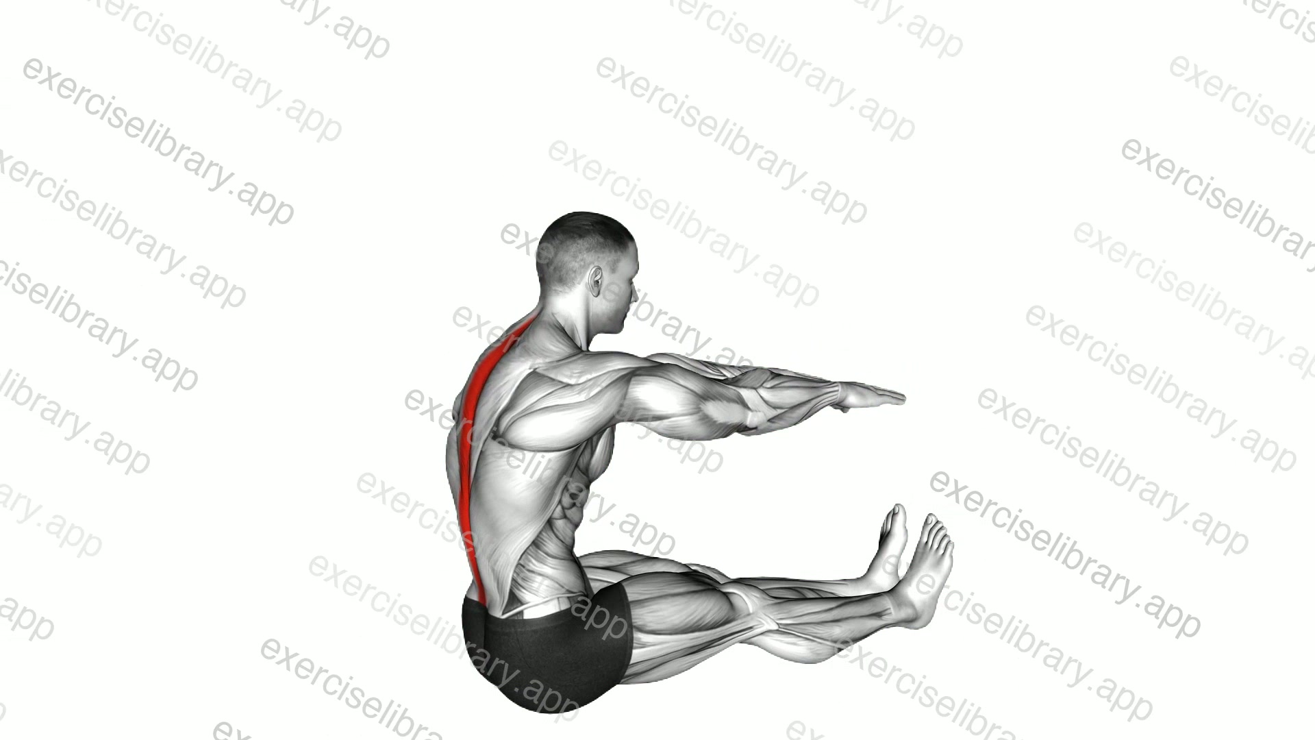 Spine Stretch demonstration