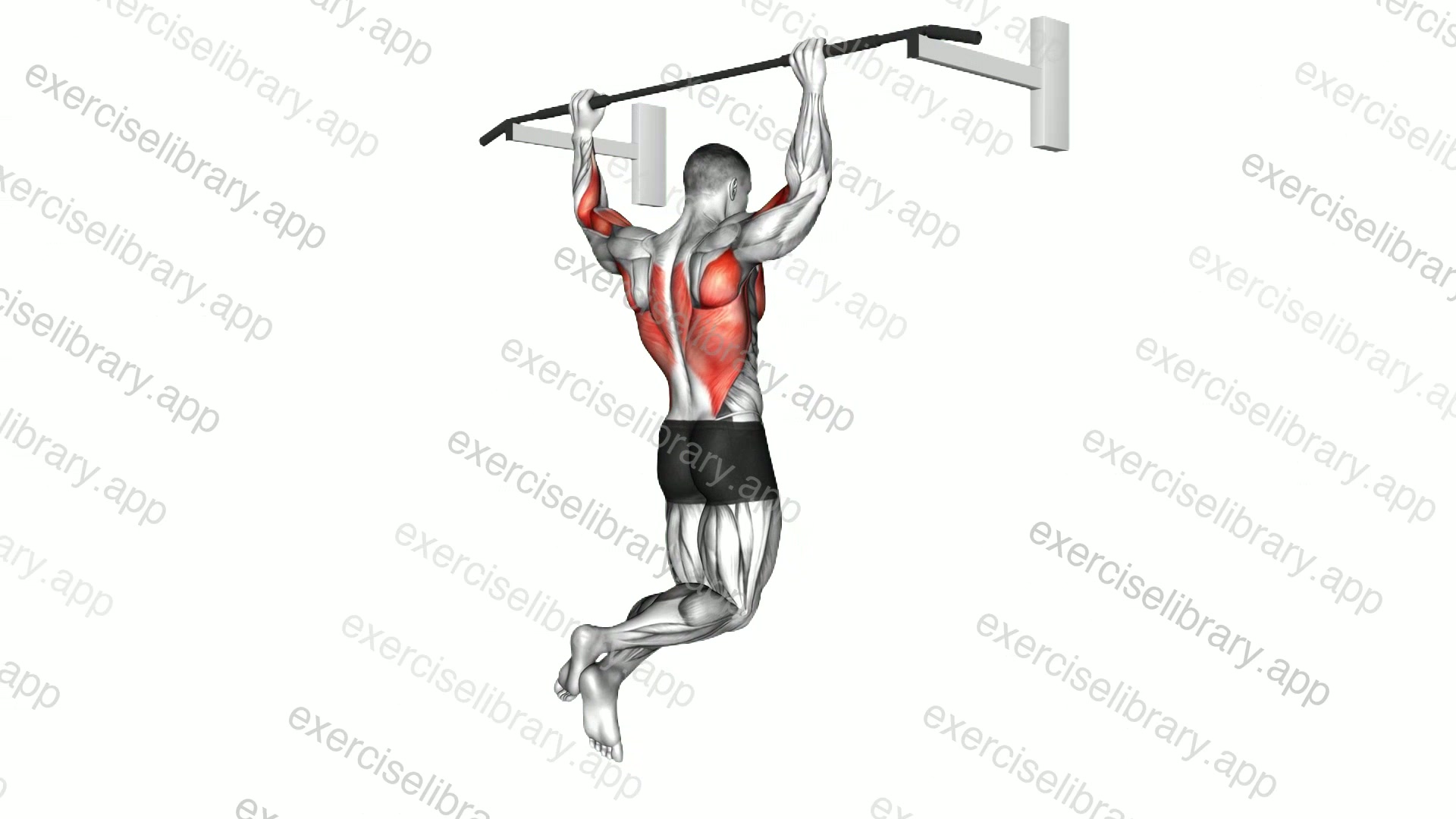 Wide Grip Rear Pull-Up demonstration