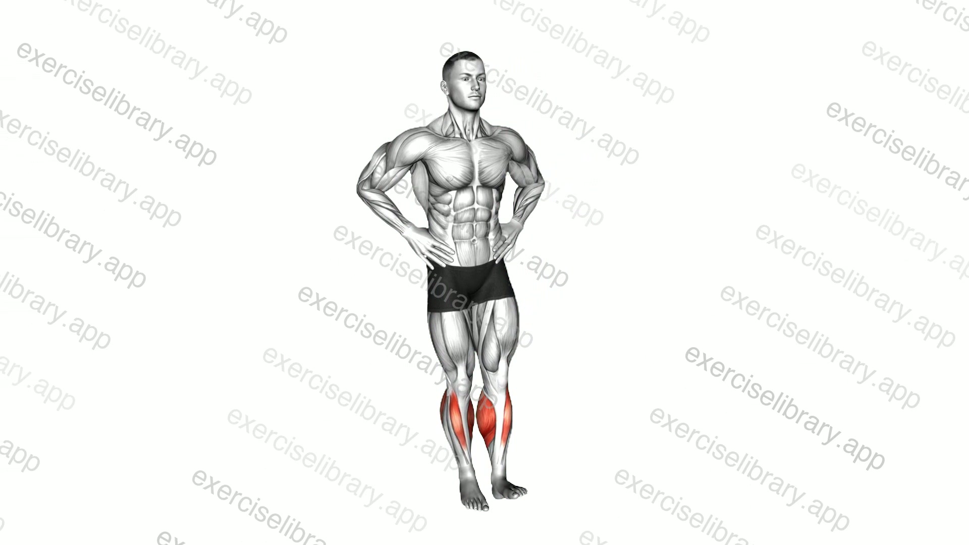 Ankle Circles demonstration