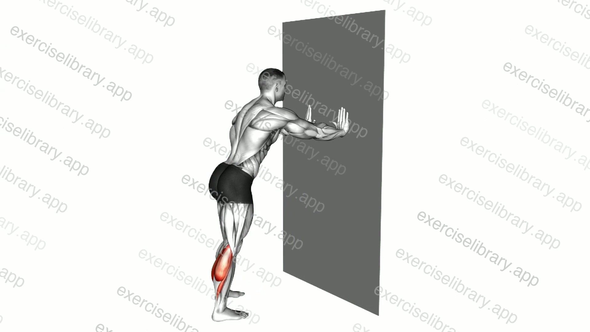 Calf Stretch With Hands Against Wall demonstration