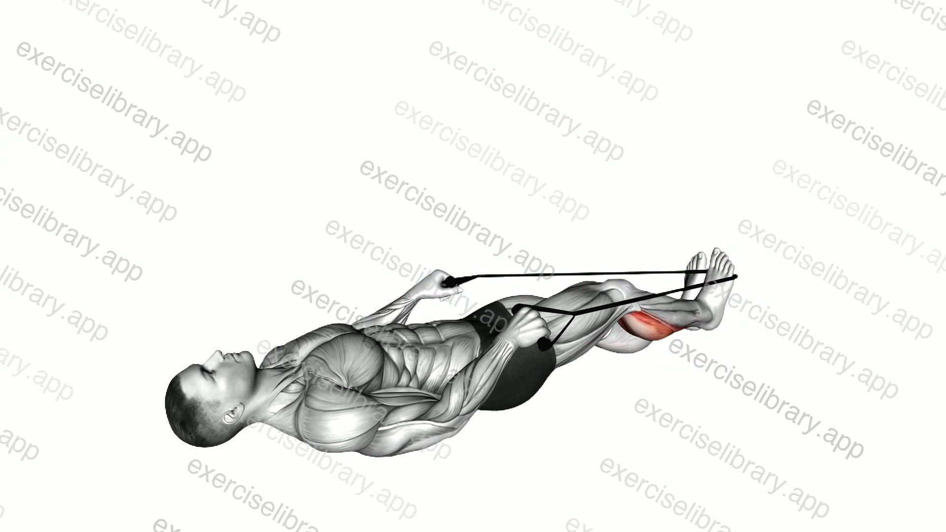 Calf Stretch with Rope demonstration