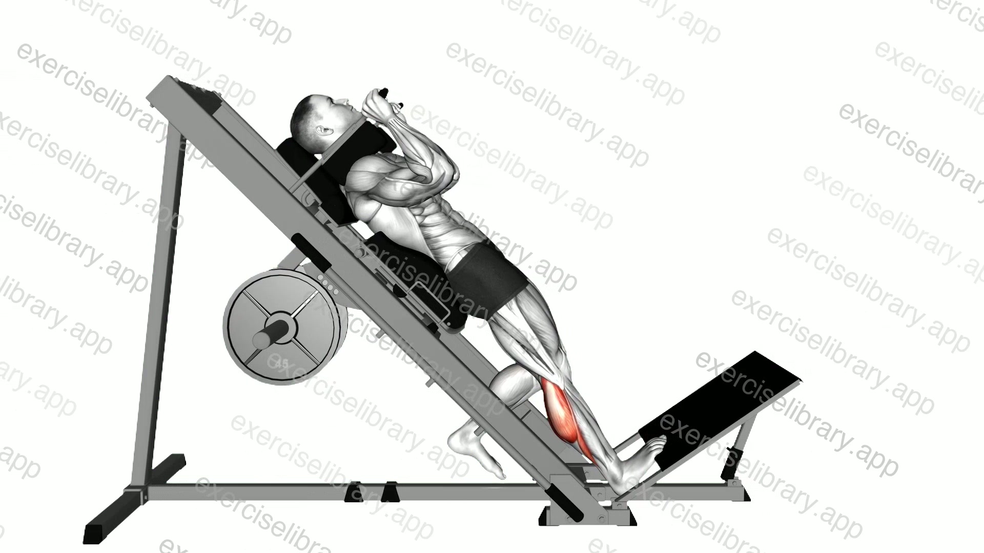 Hack One Leg Calf Raise demonstration