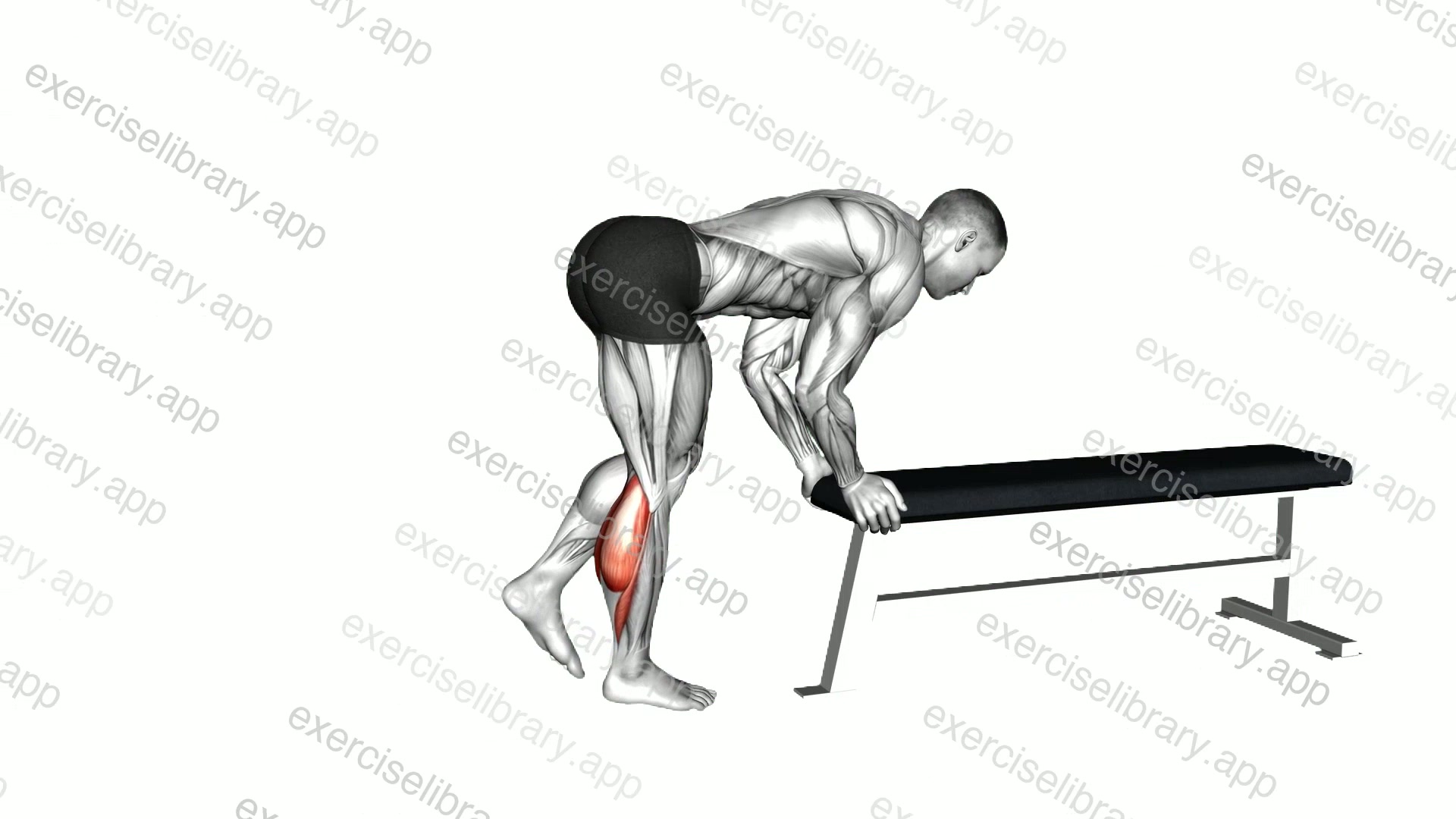 One Leg Donkey Calf Raise demonstration
