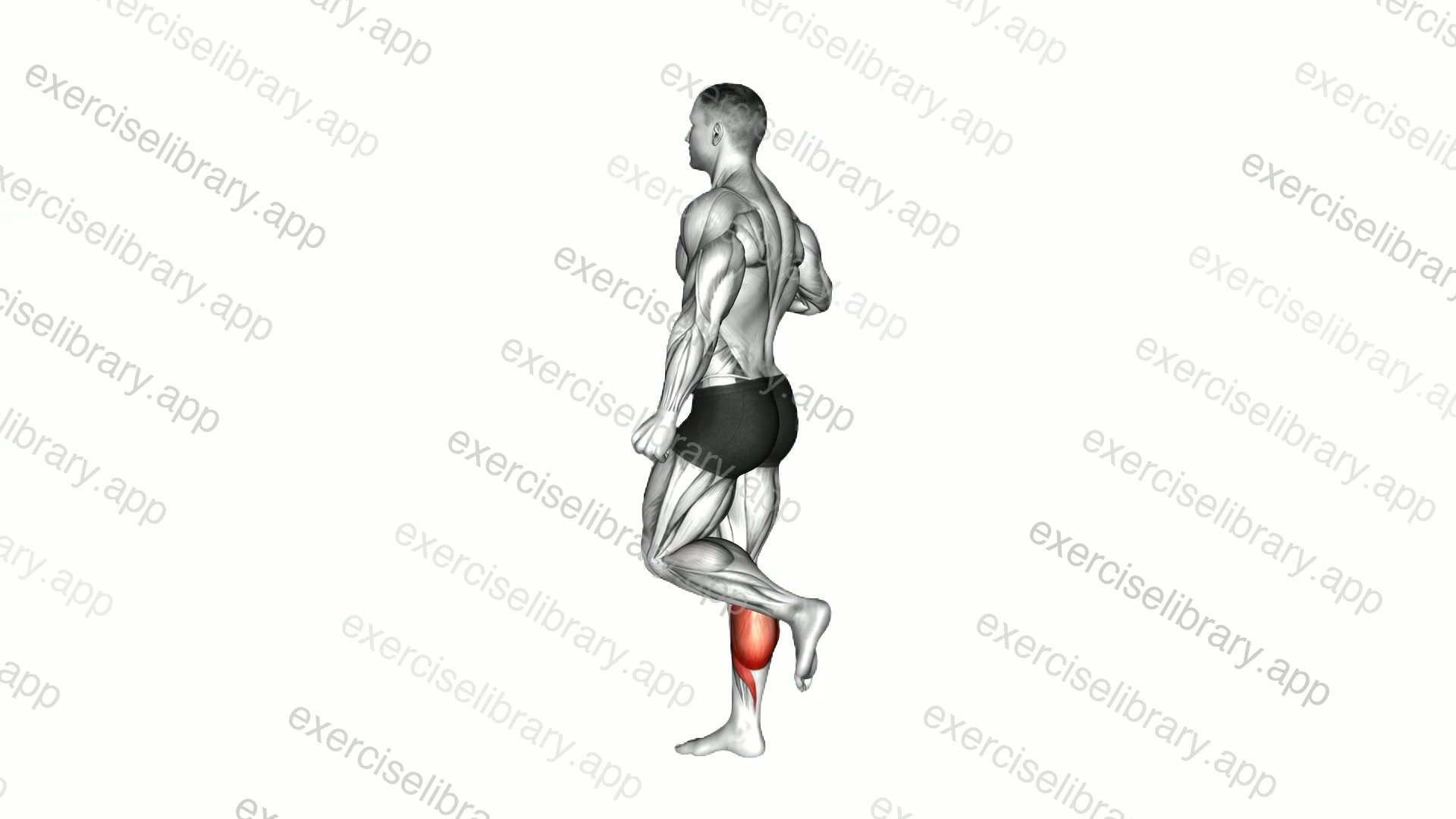 One Leg Floor Calf Raise demonstration