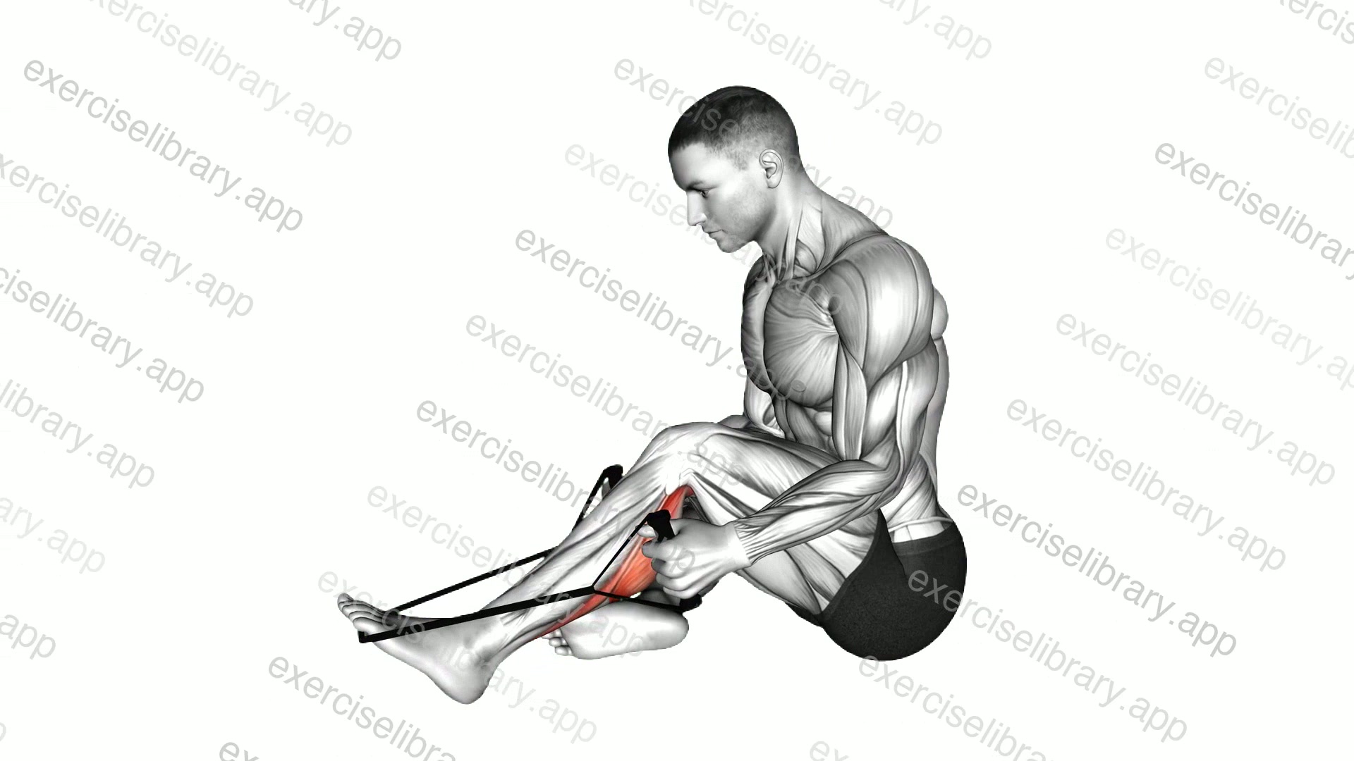 Peroneals Stretch demonstration