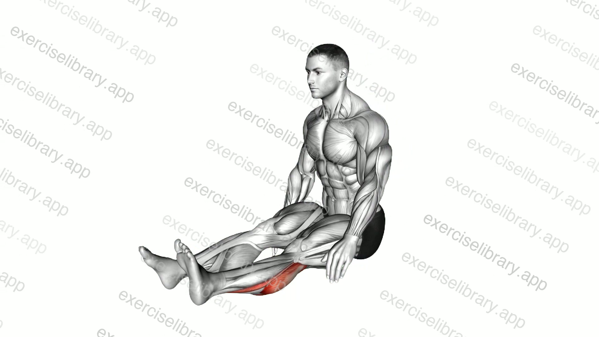 Seated Calf Stretch demonstration