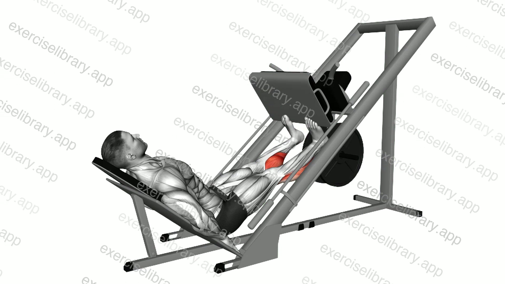 Sled Calf Press On Leg Press demonstration