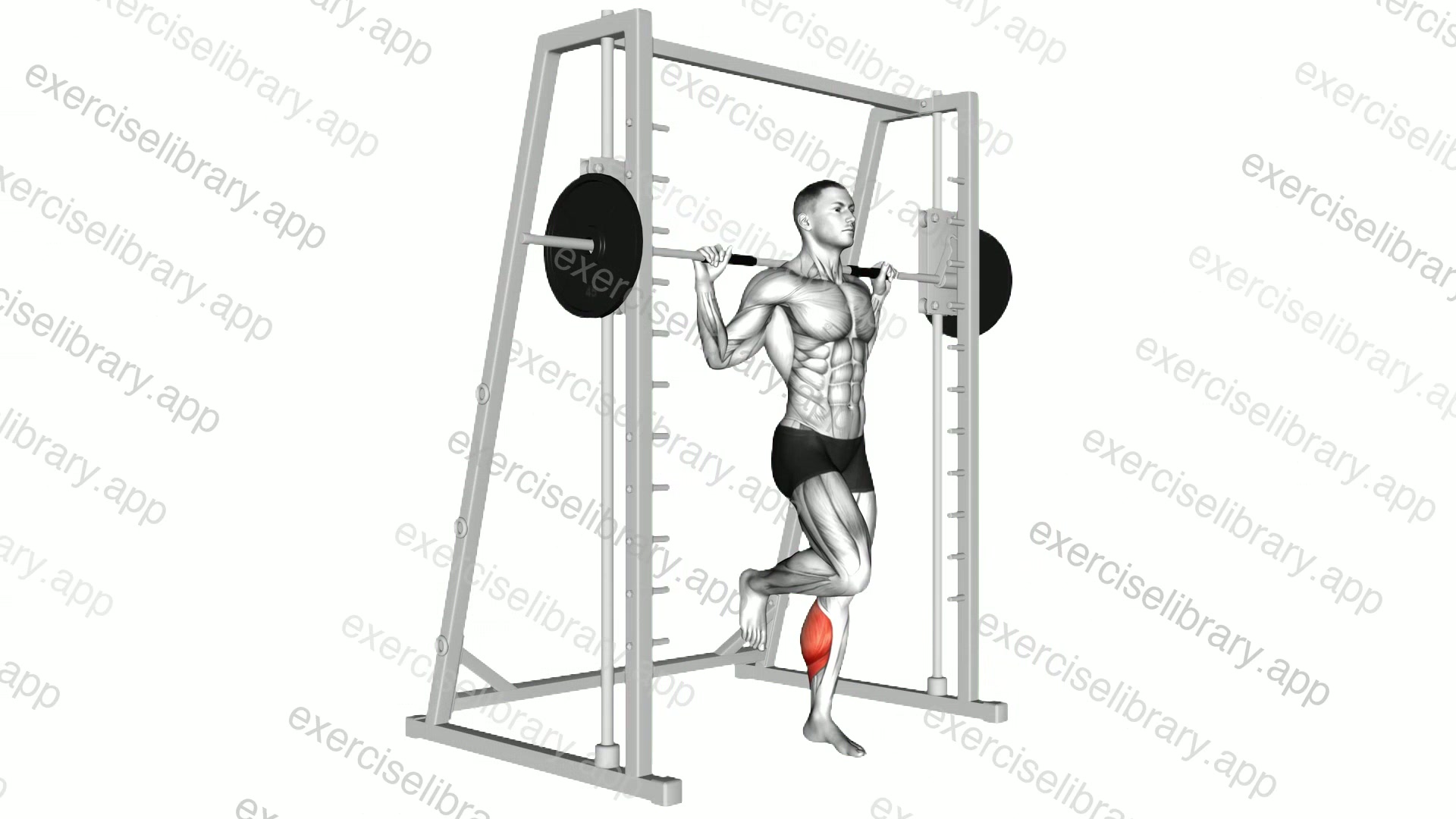 Smith One Leg Floor Calf Raise demonstration