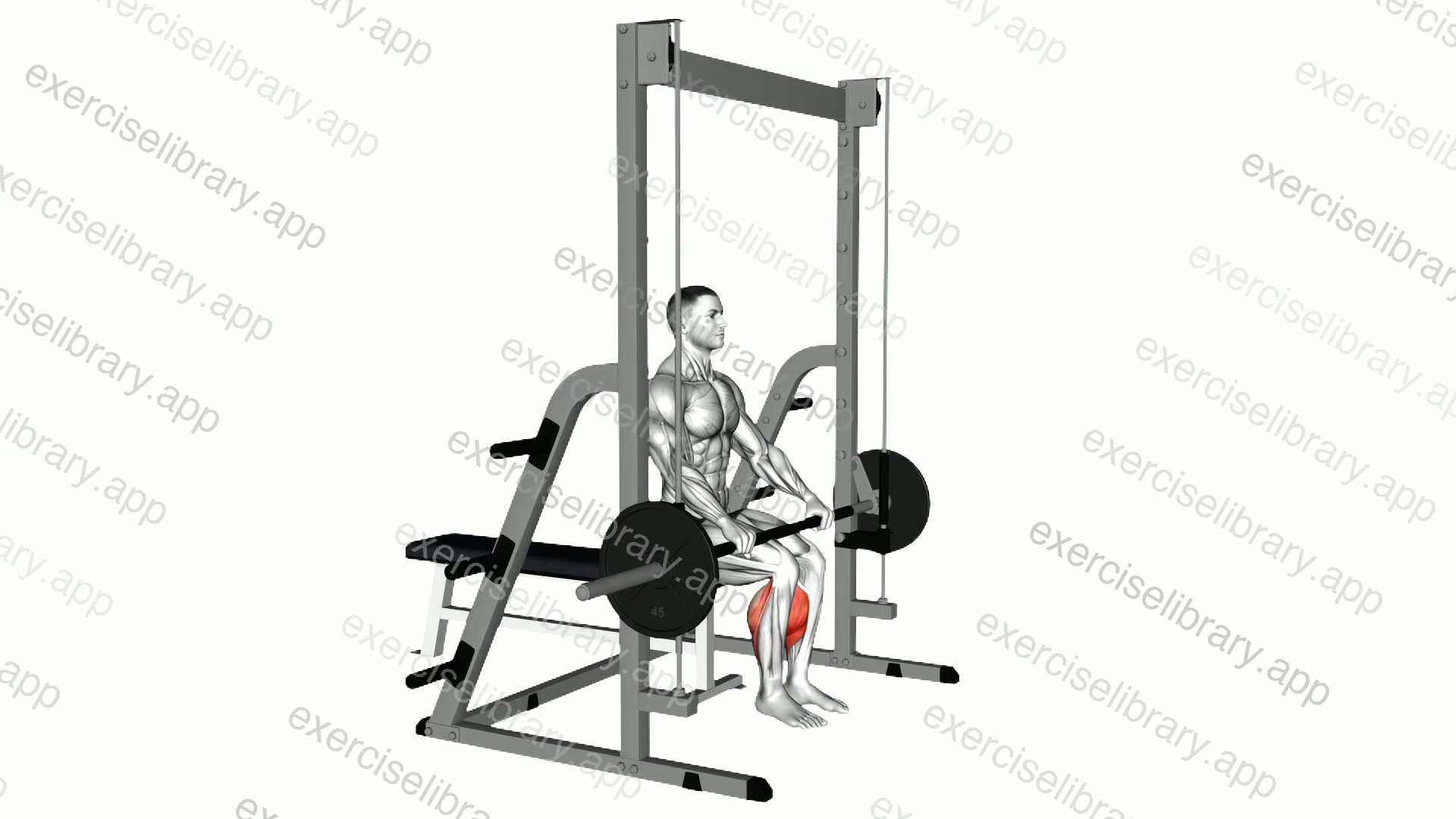 Smith Toe Raise demonstration