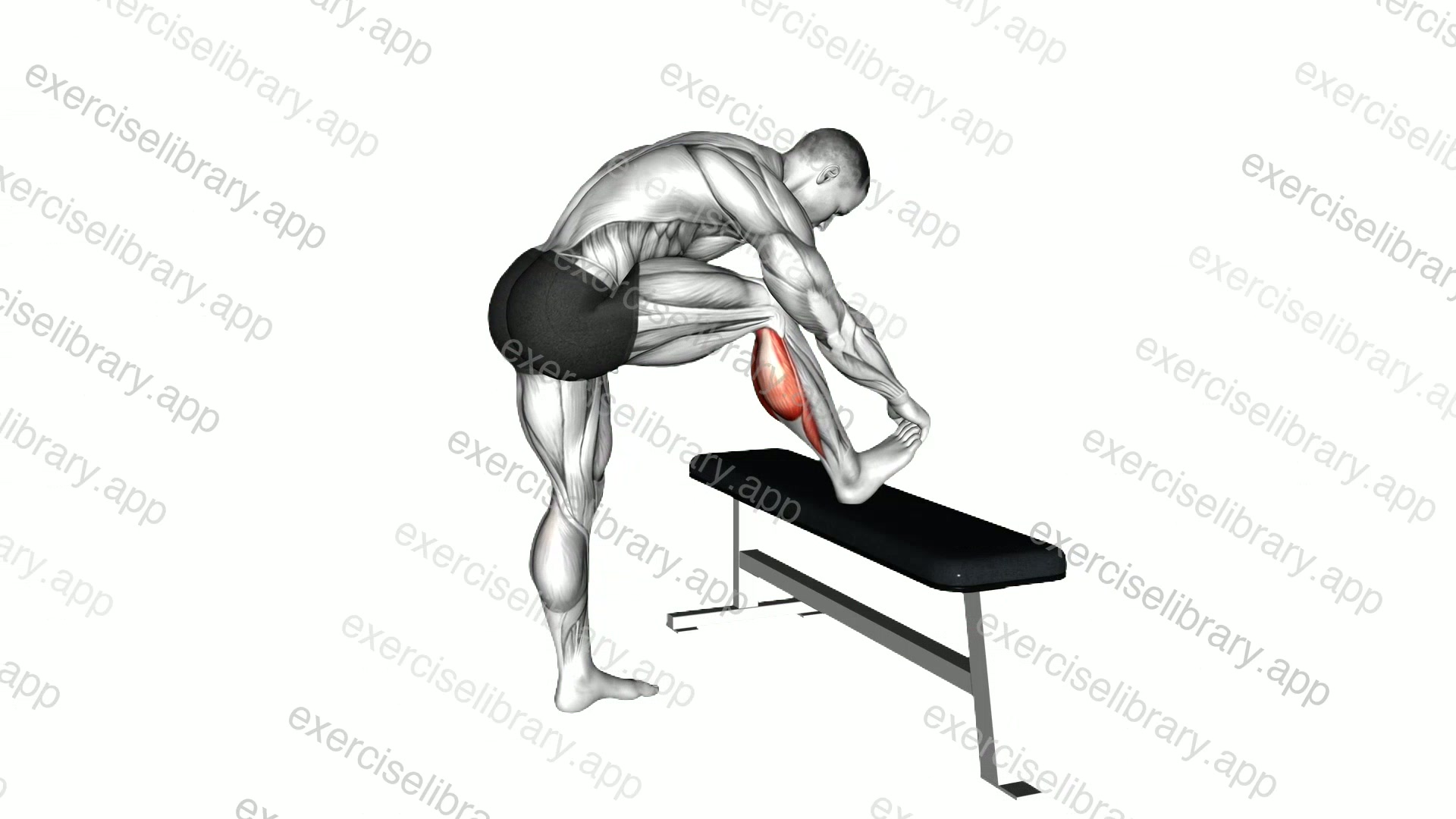Standing Gastrocnemius Calf Stretch demonstration