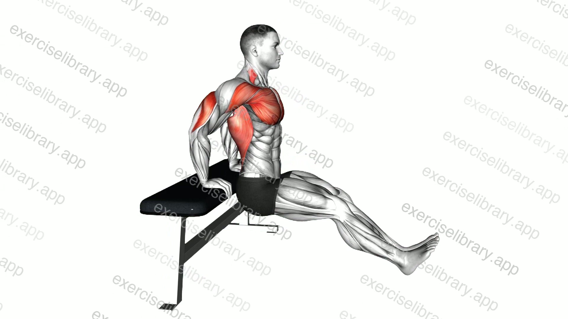 Bench dip on floor demonstration