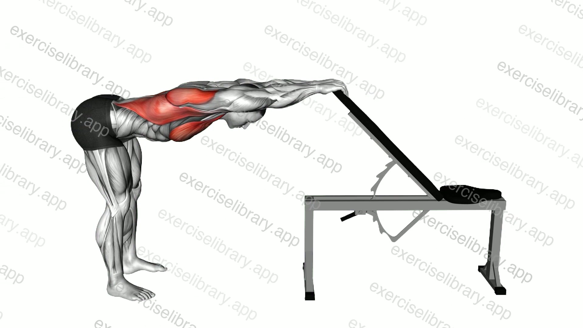 Back Pec Stretch demonstration