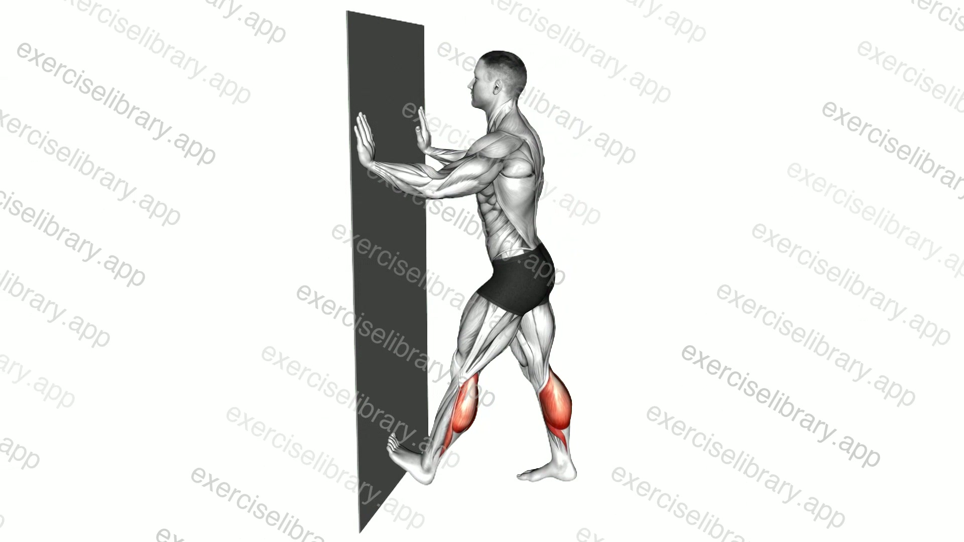 Calf Push Stretch With Hands Against Wall demonstration