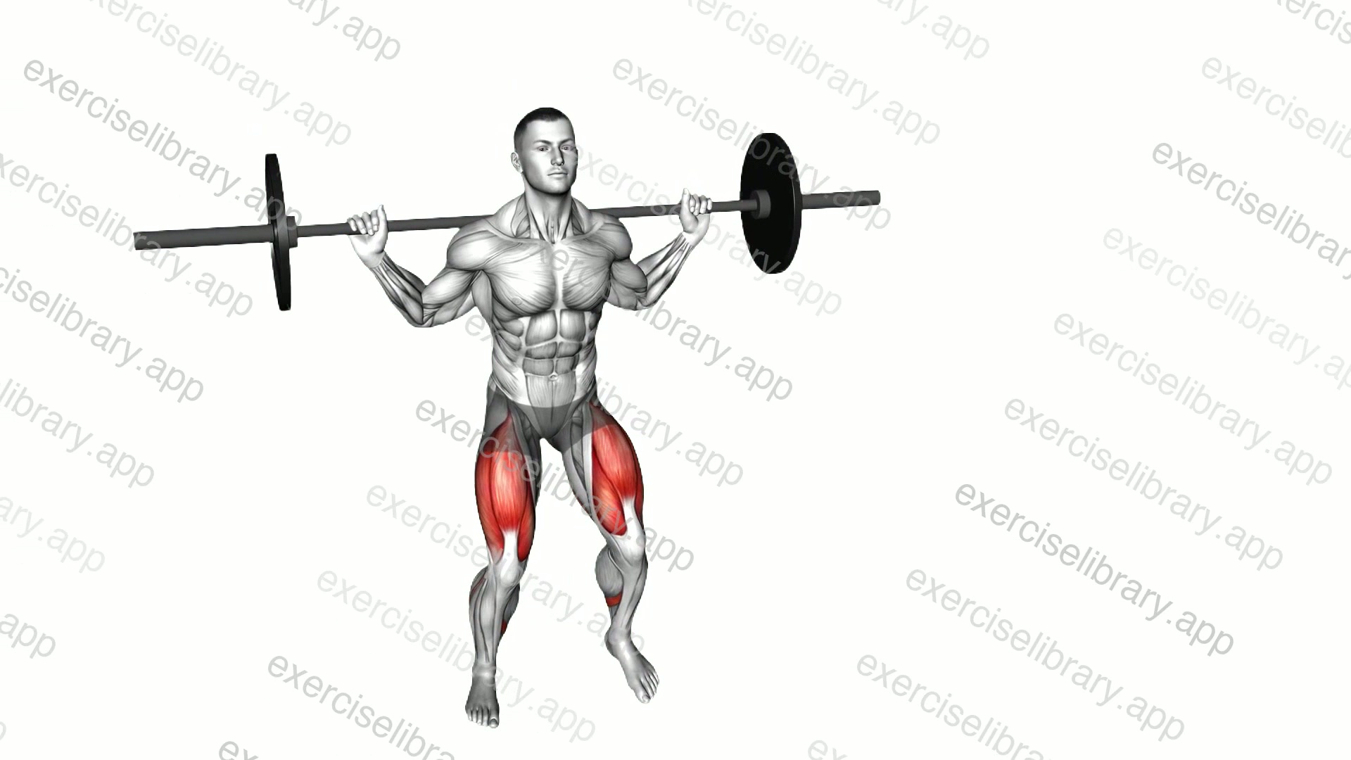 Barbell Lateral Lunge demonstration