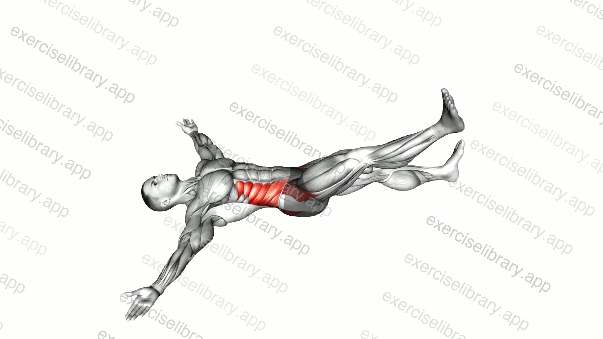 Iron Cross Stretch demonstration