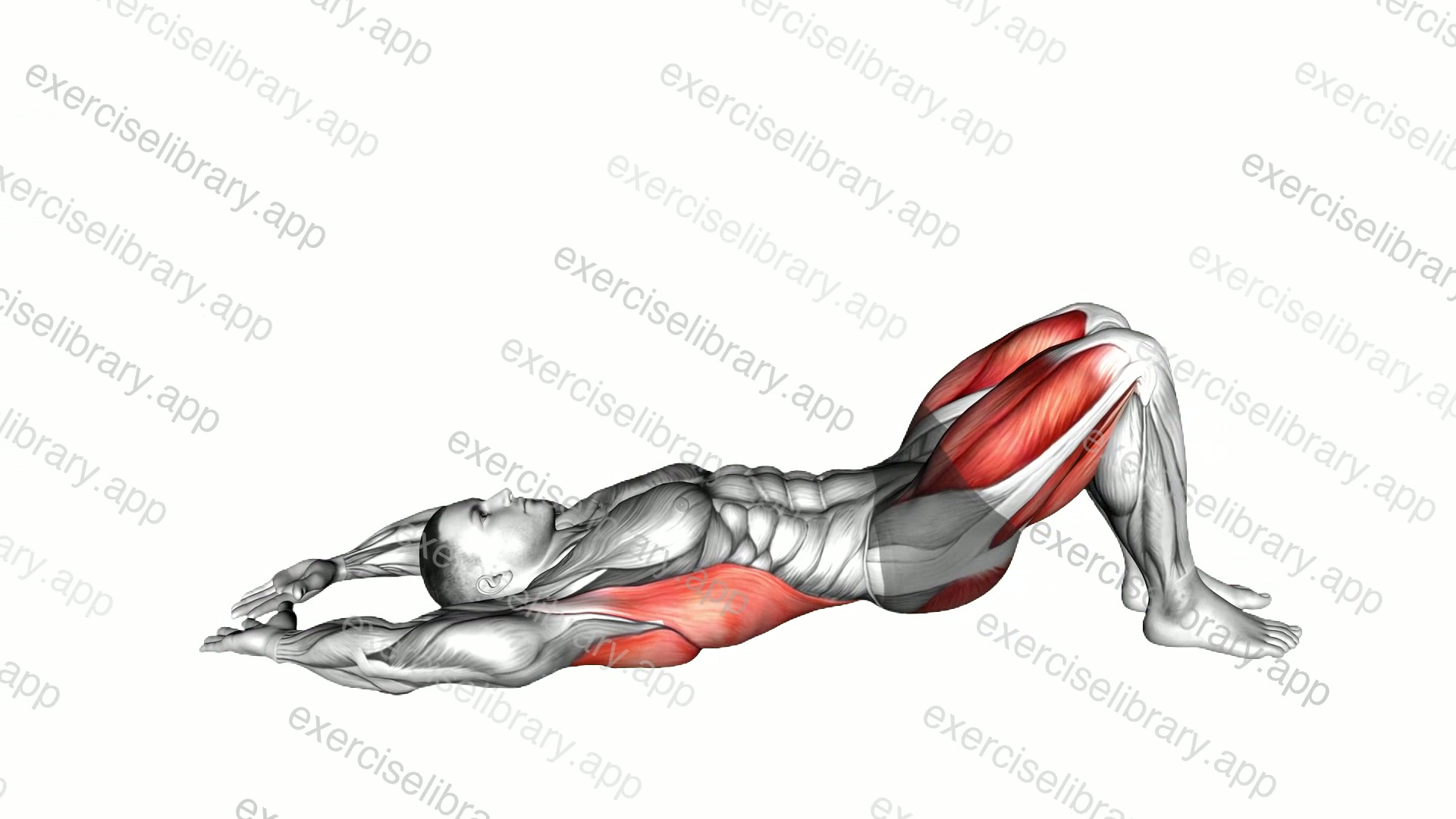Pelvic Tilt Into Bridge demonstration