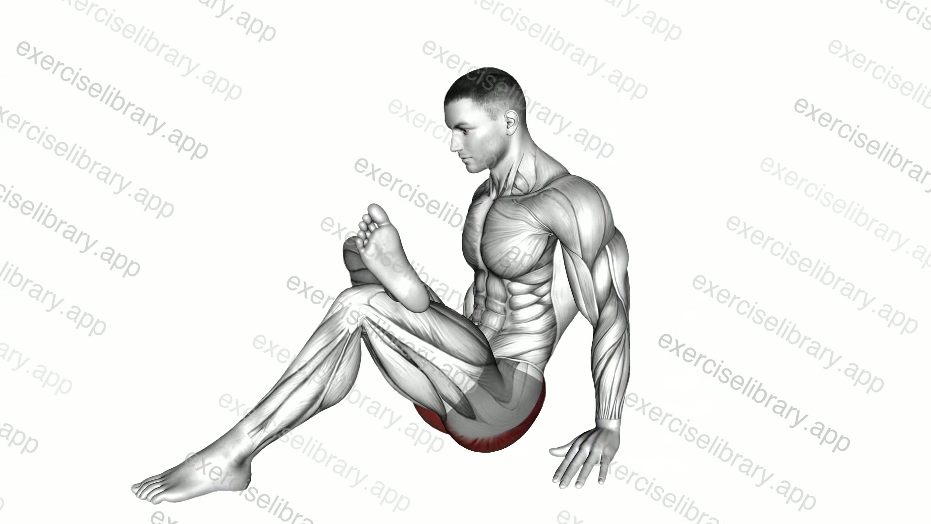 Seated Glute Stretch demonstration