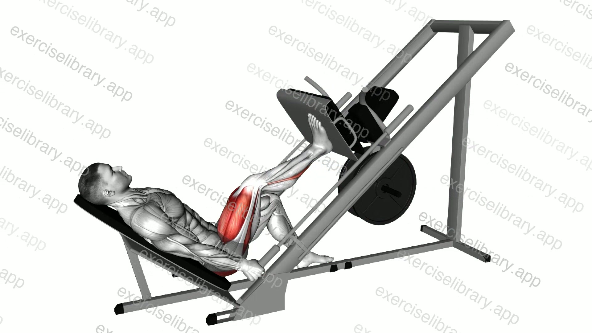 Sled 45 degrees One Leg Press demonstration