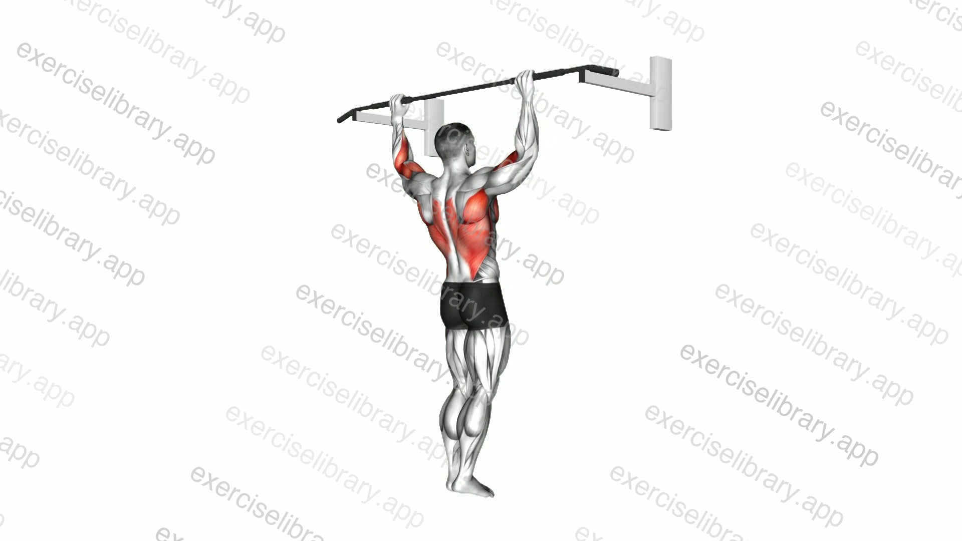 Wide Grip Pull-Up demonstration