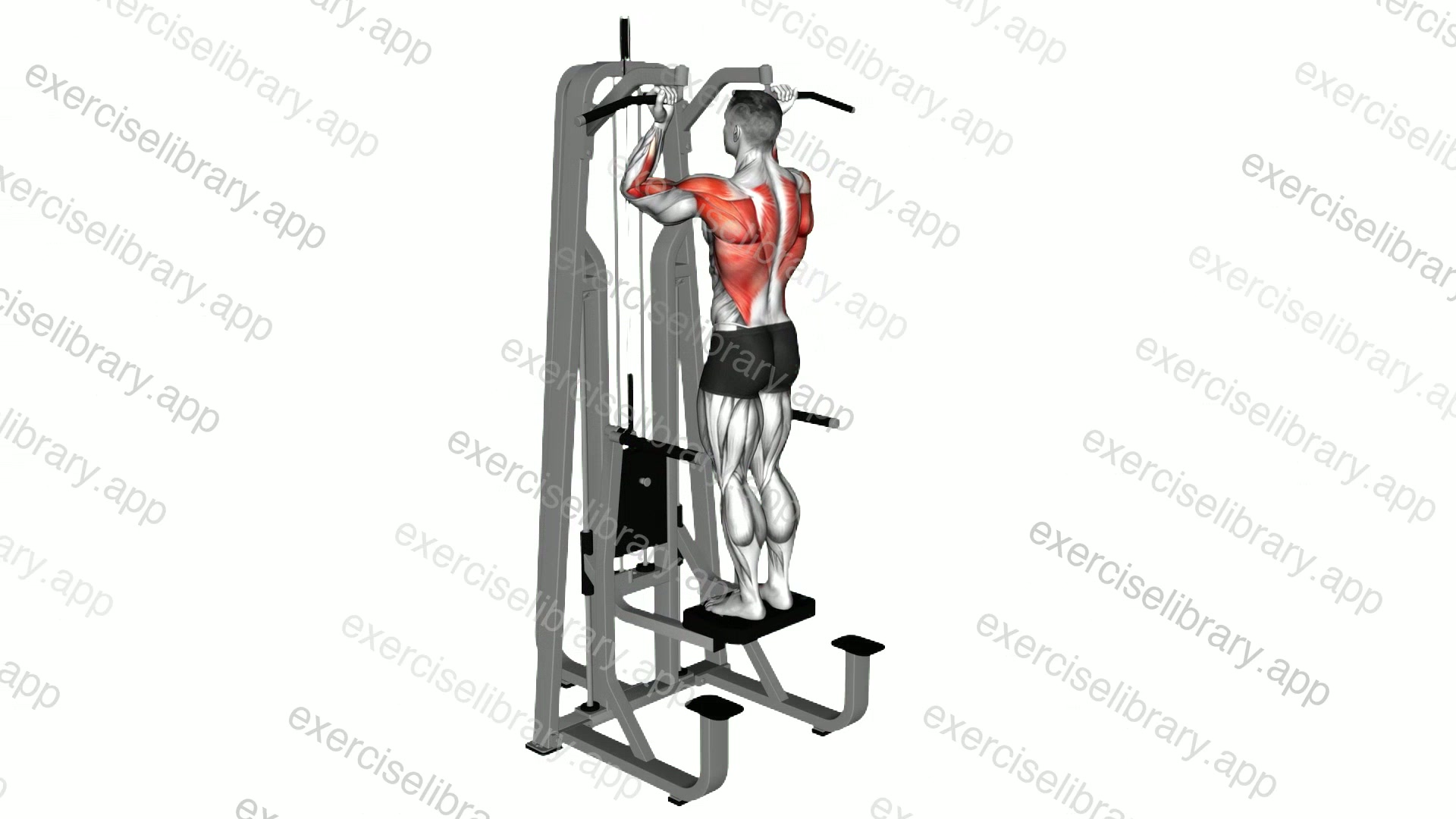 Lever Assisted Standing Chin-up demonstration