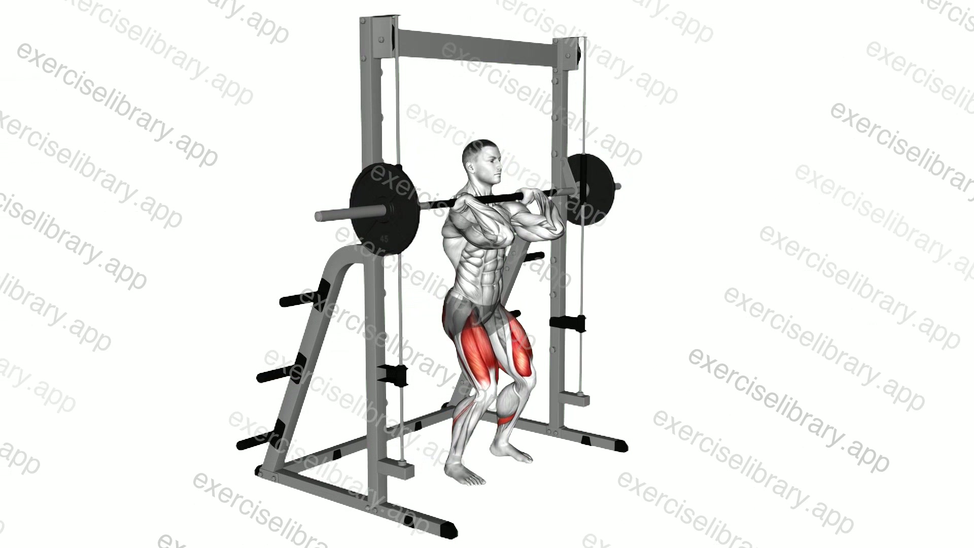 Smith Front Squat demonstration