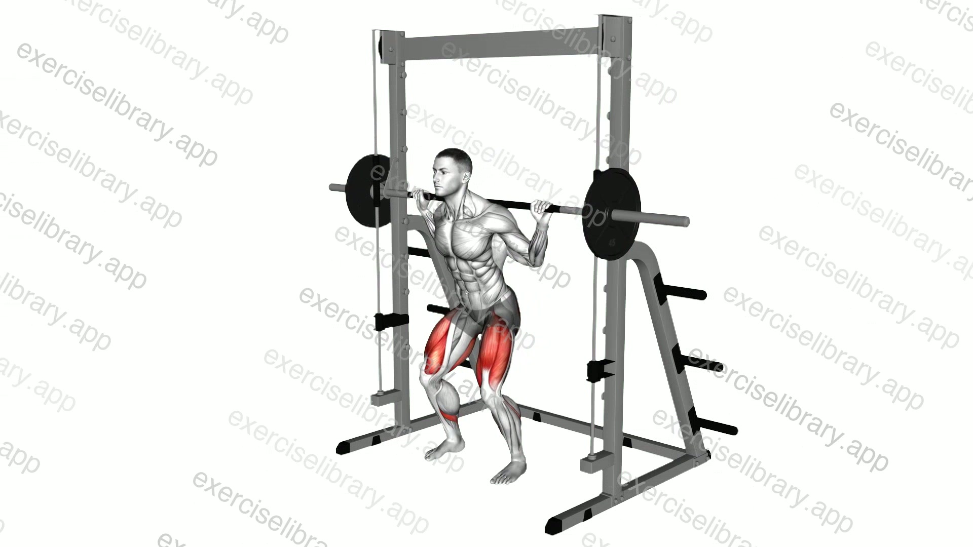Smith Low Bar Squat demonstration
