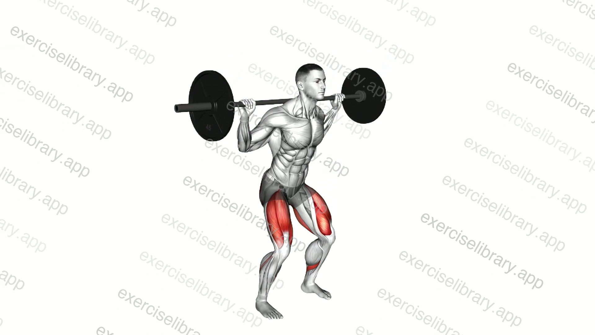 Barbell High Bar Squat demonstration