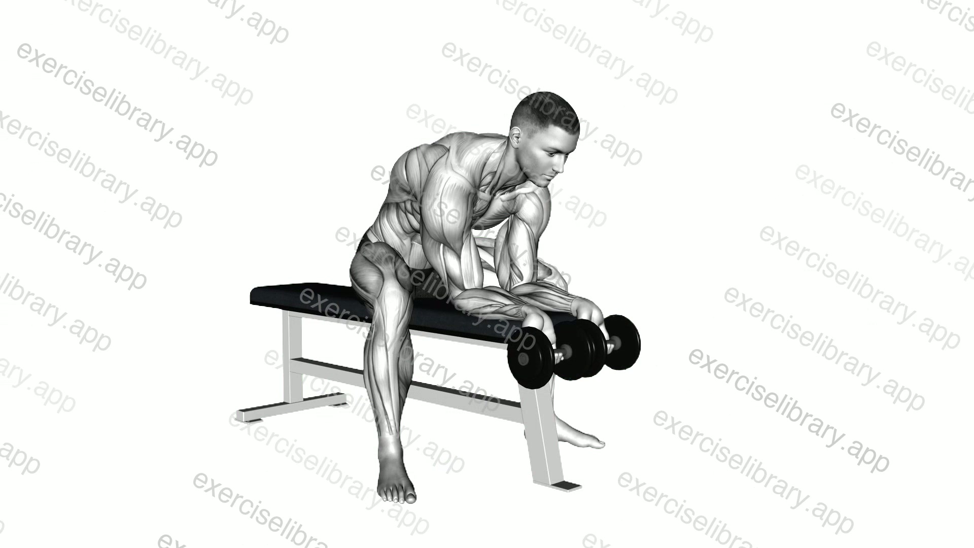 Dumbbell Finger Curls demonstration