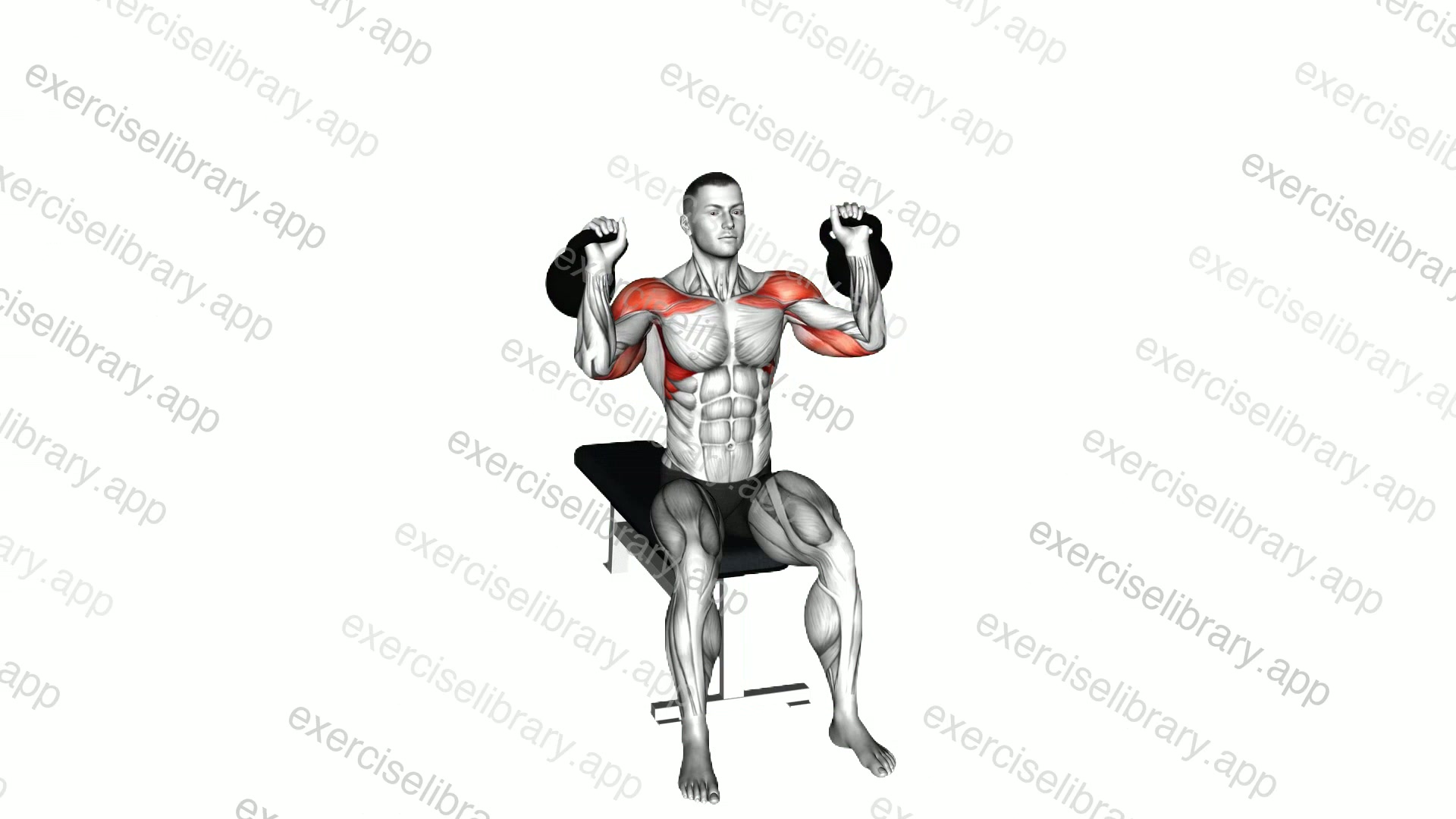 Kettlebell Seated Two Arm Military Press demonstration