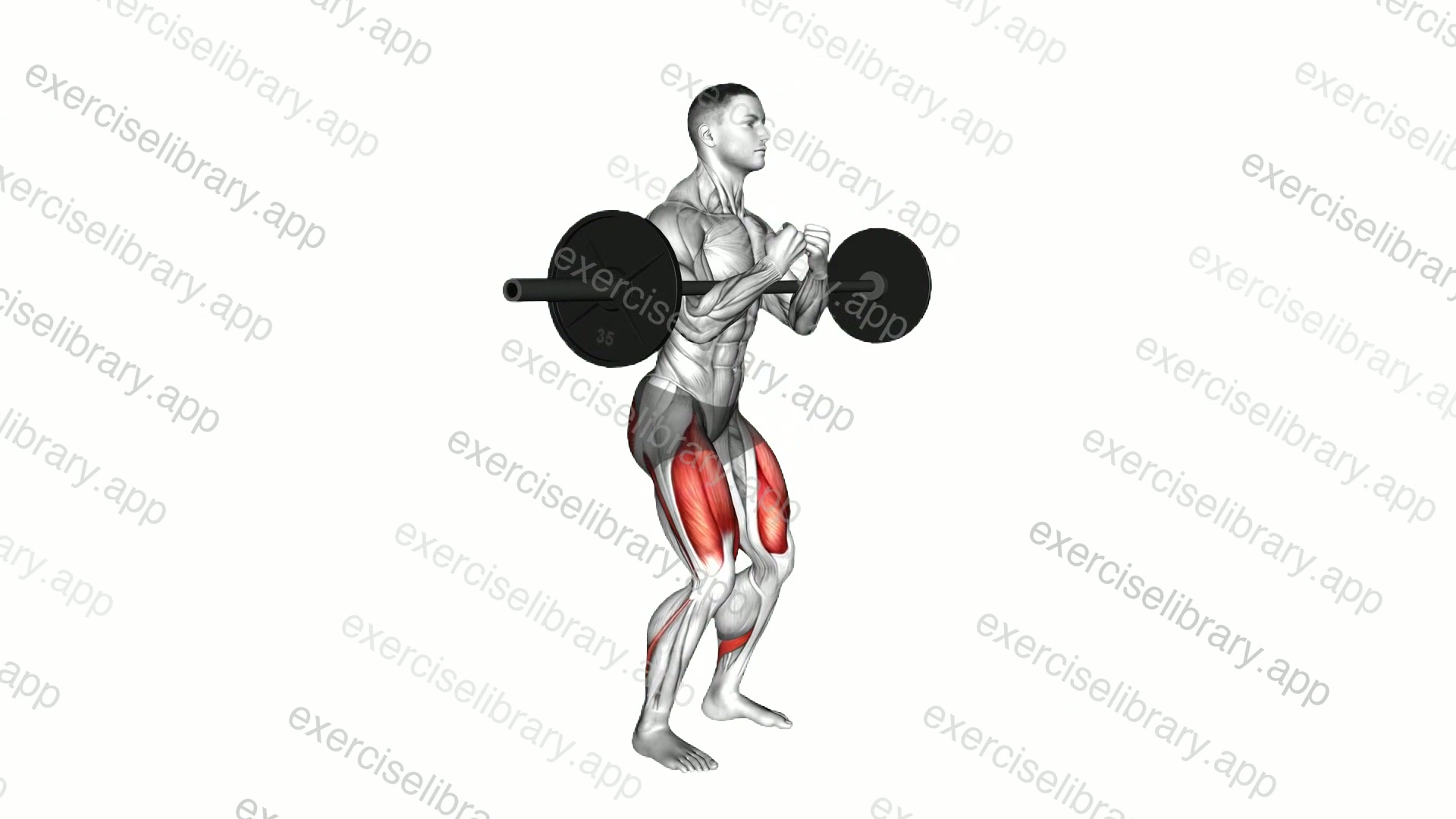 Barbell Zercher Squat Hold demonstration