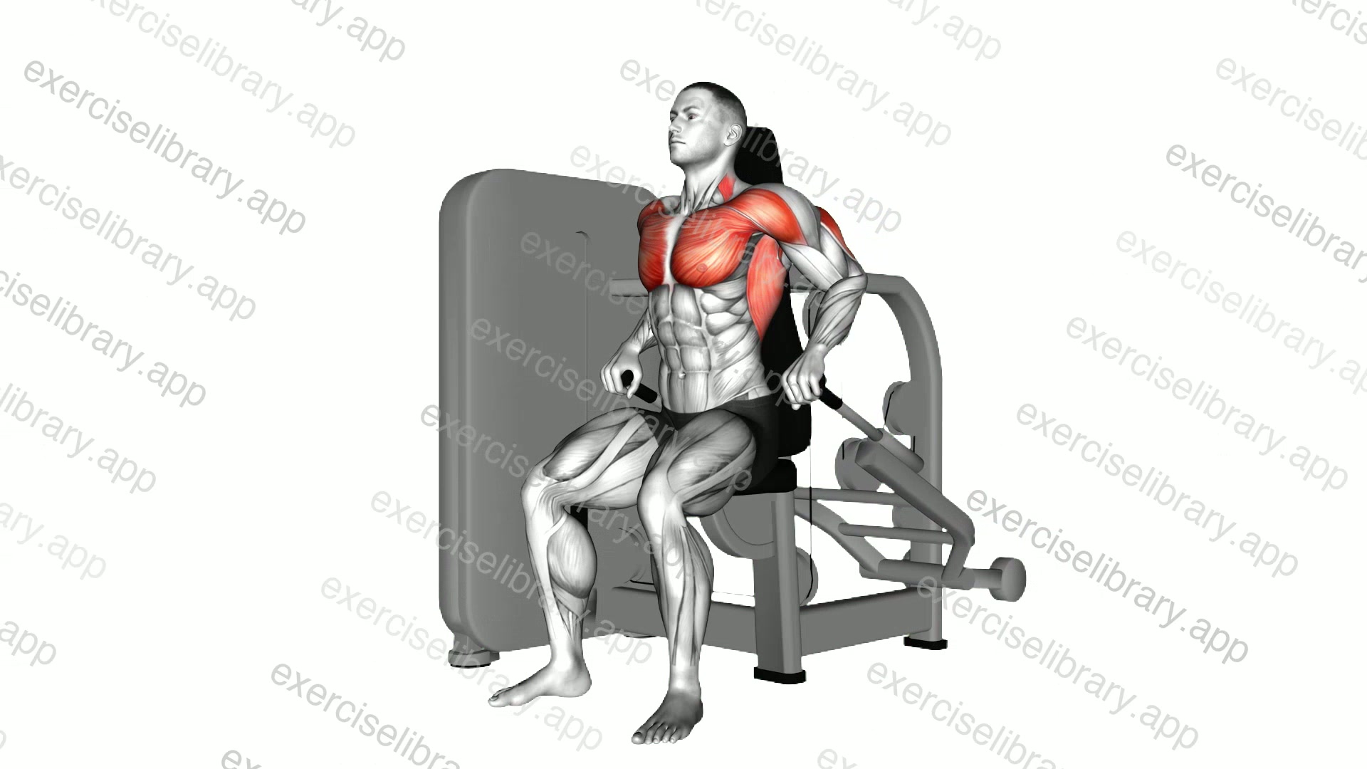 Lever Seated Dip demonstration