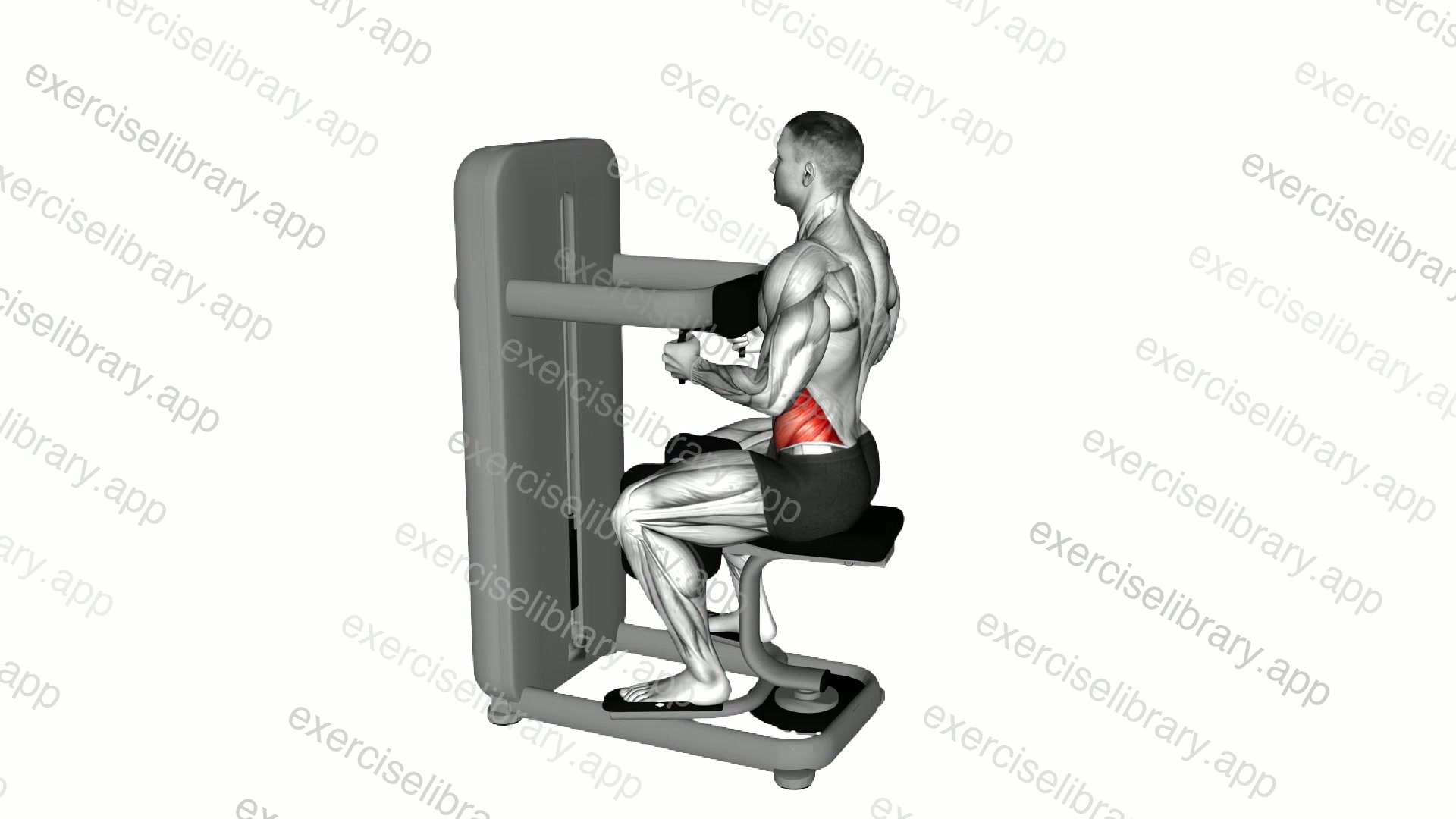 Lever Seated Twist demonstration