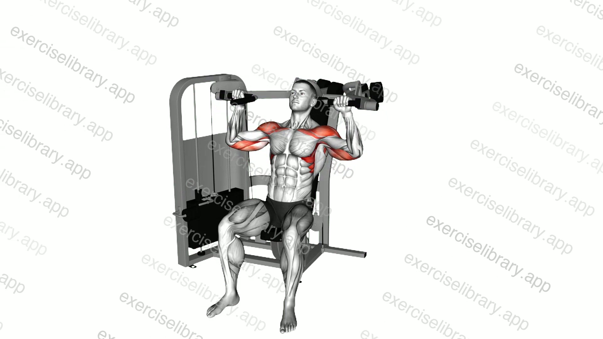 Lever Seated Shoulder Press demonstration