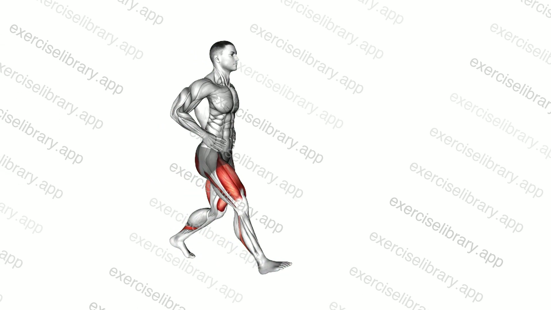 Walking Lunge demonstration