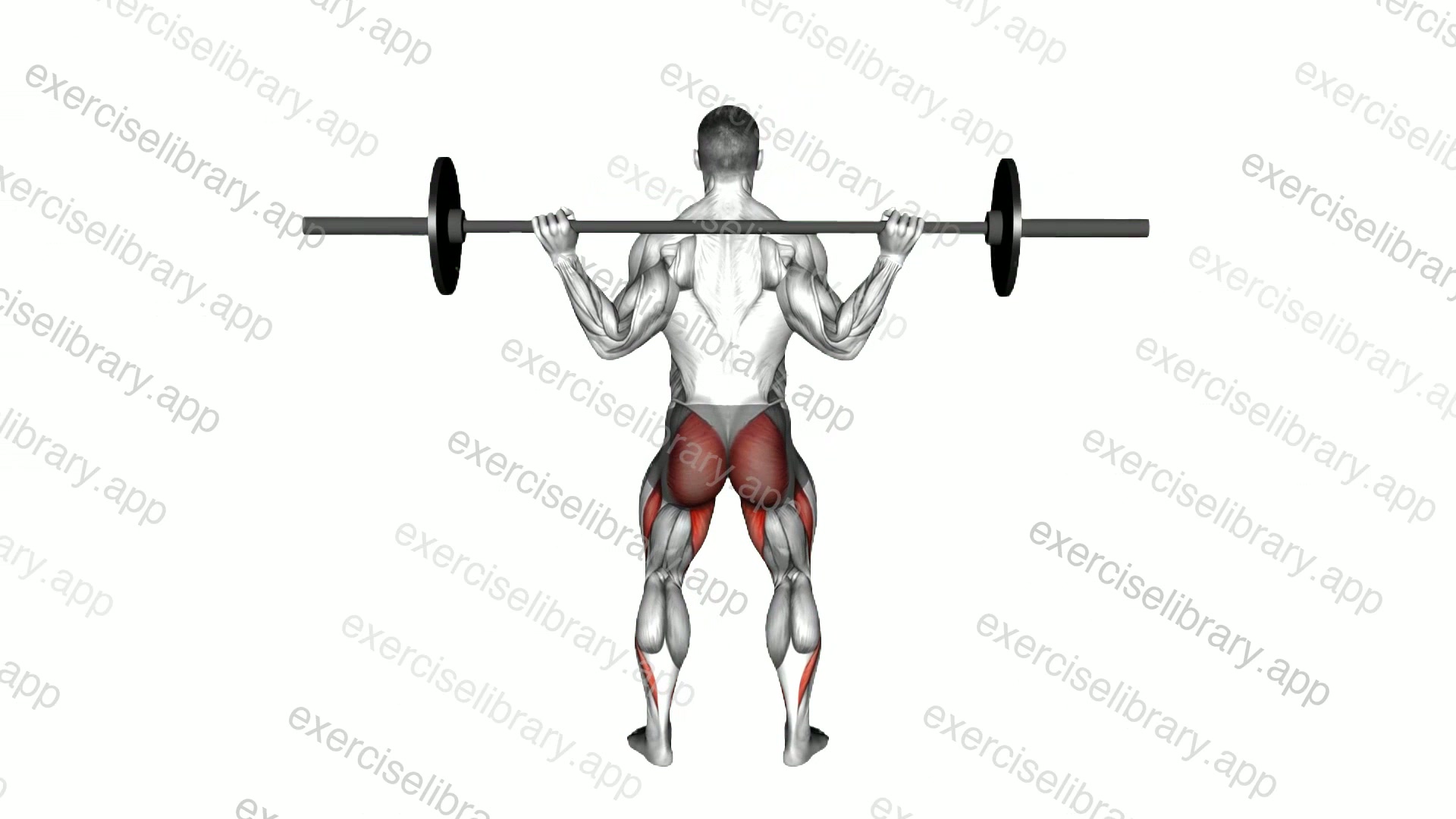 Barbell Full Squat demonstration