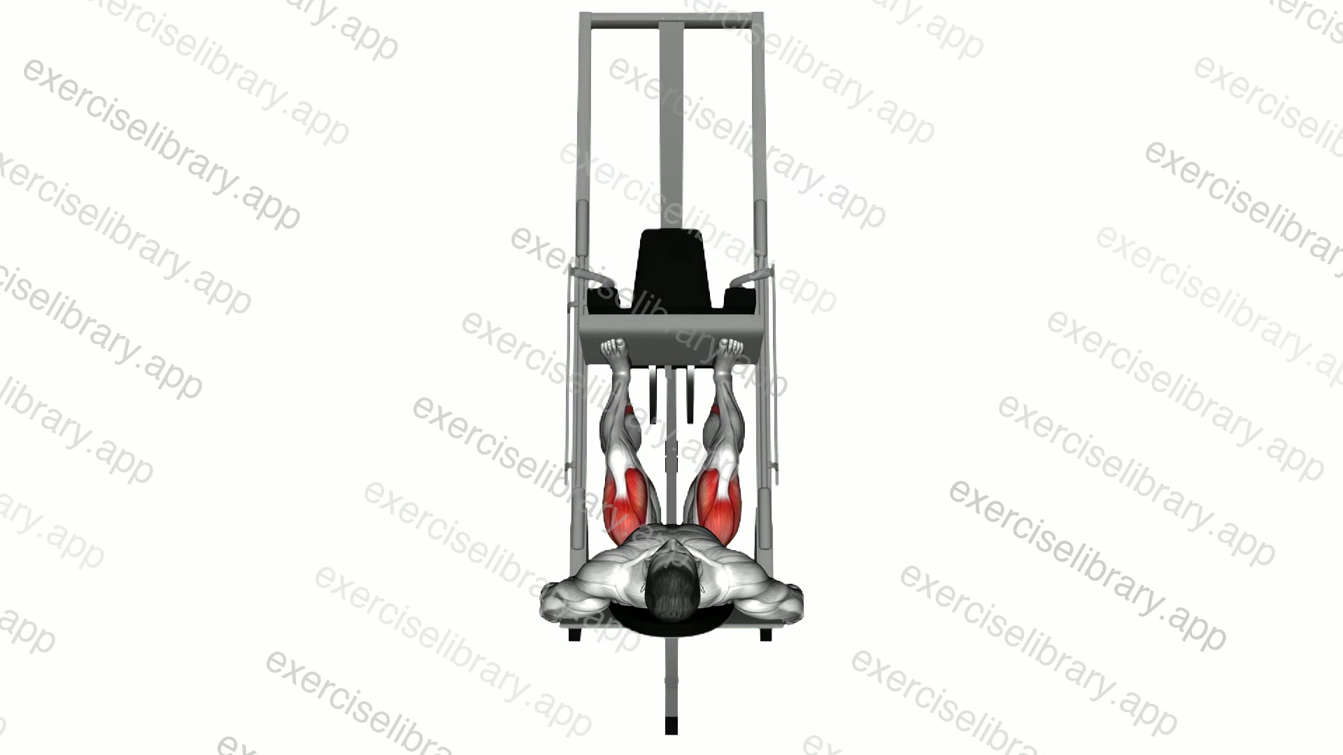 Sled 45 degrees Leg Press demonstration