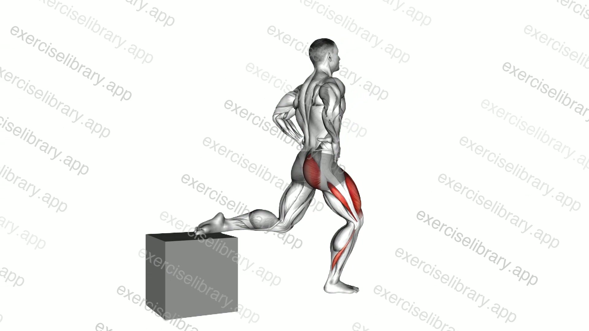 One Leg Squat demonstration