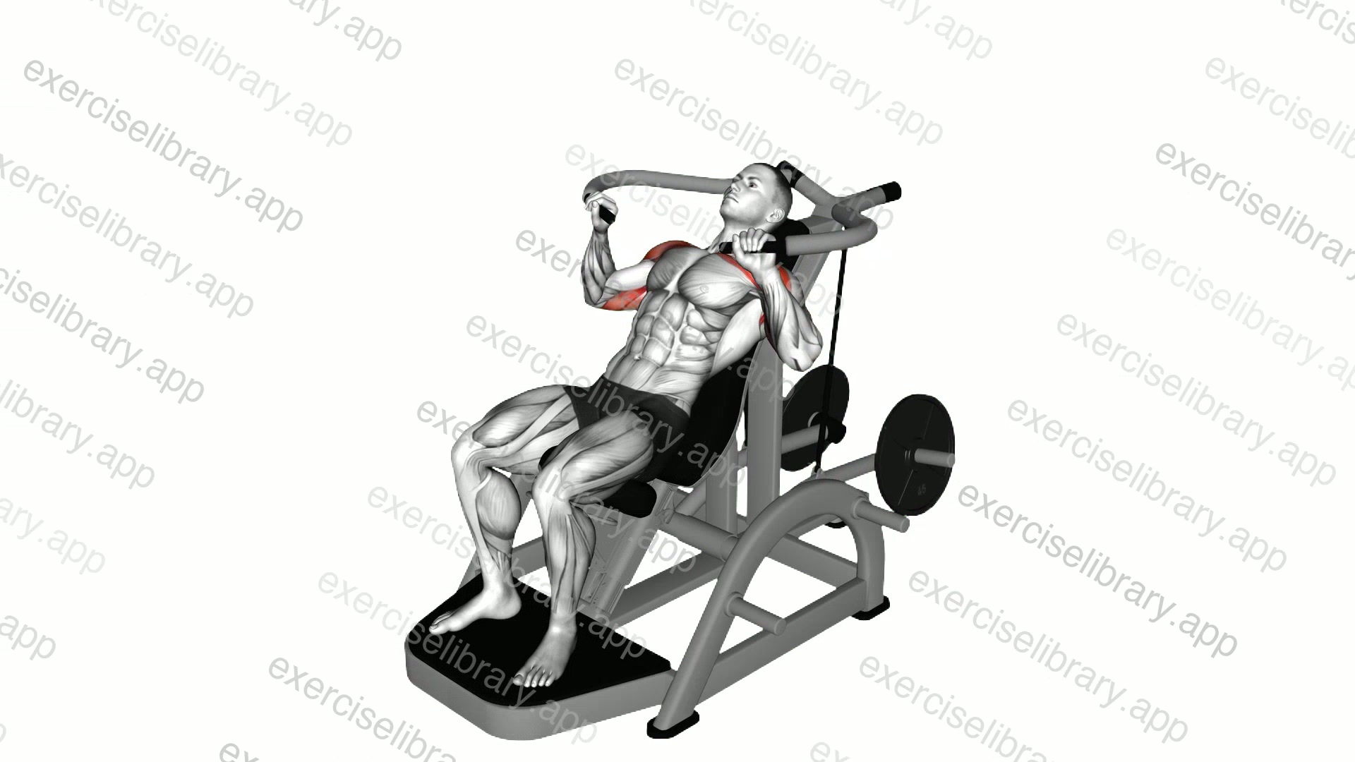 Lever Incline Chest Press demonstration