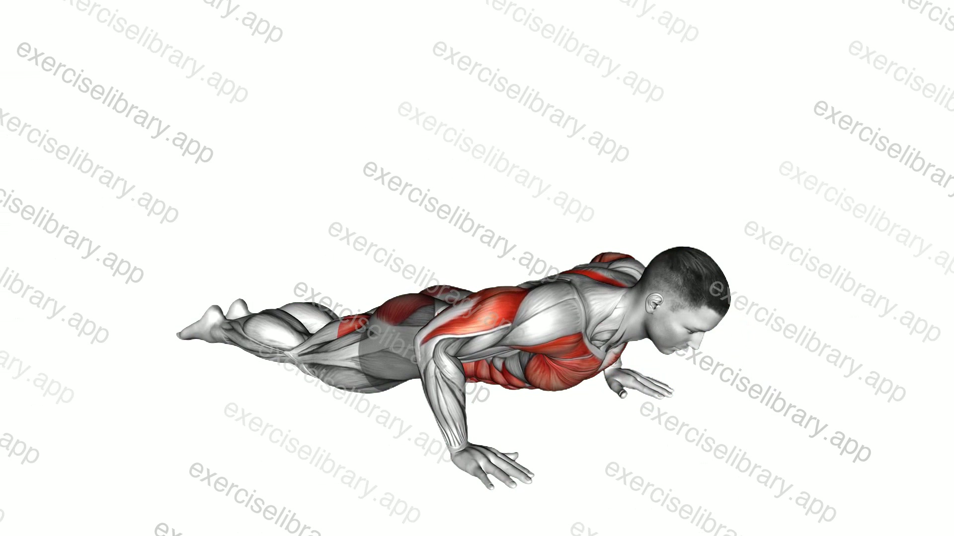 Cobra Yoga Pose demonstration