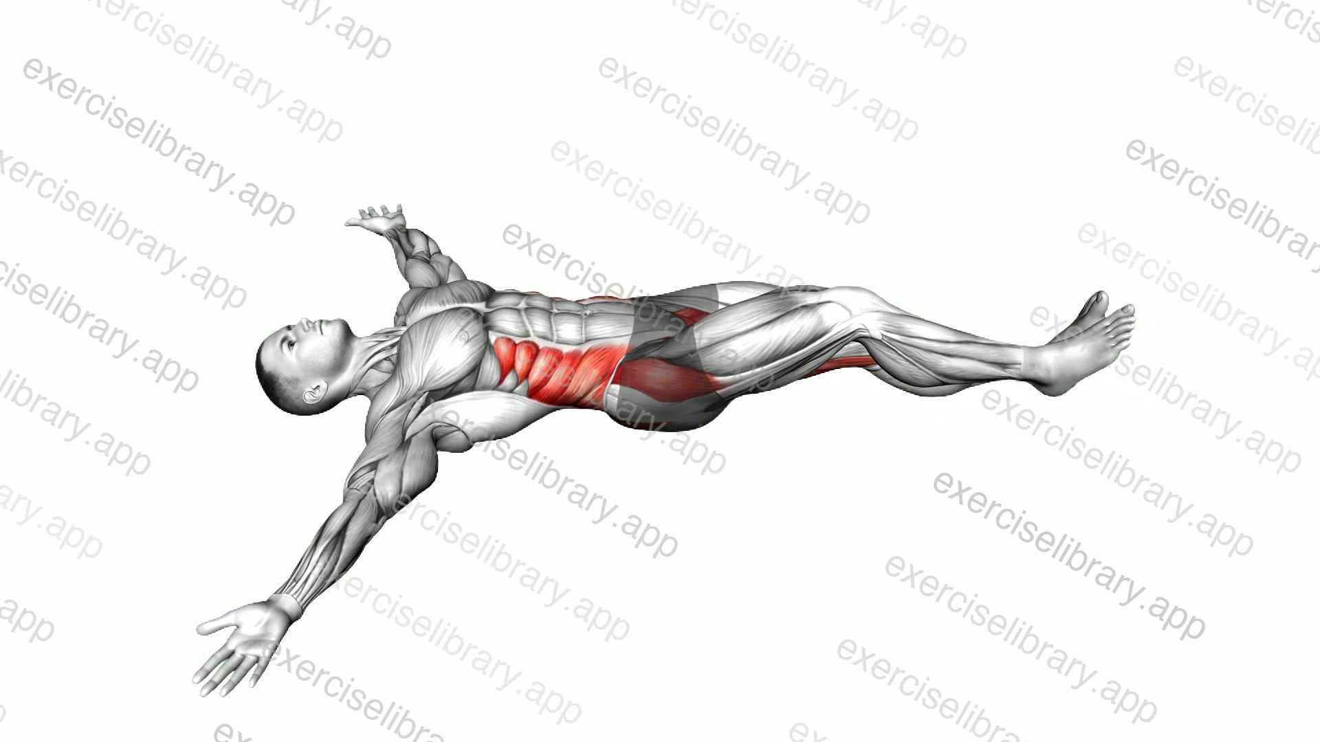 Supine Spinal Twist Yoga Pose demonstration