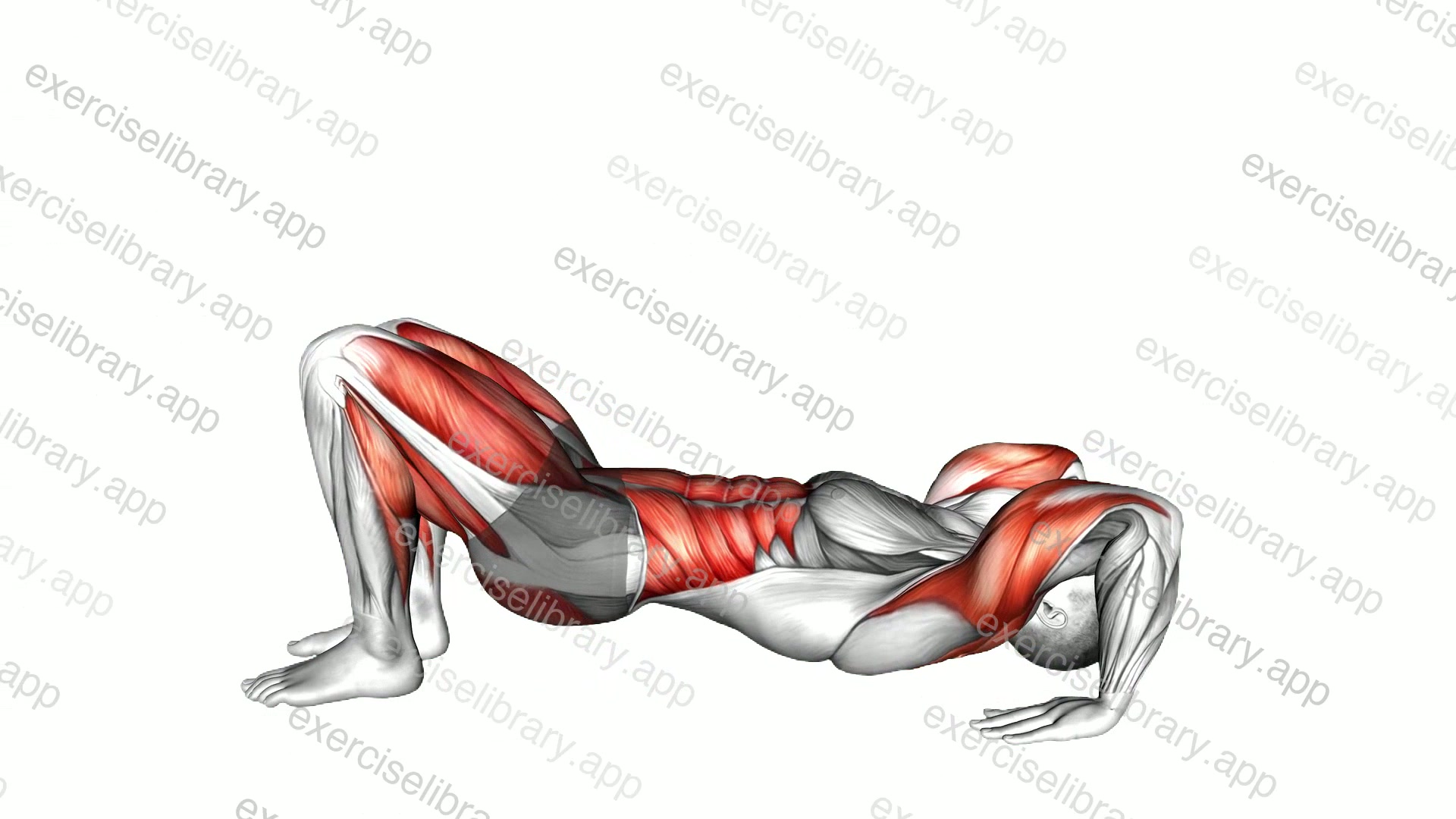 Wheel Pose Urdhva Dhanurasana demonstration