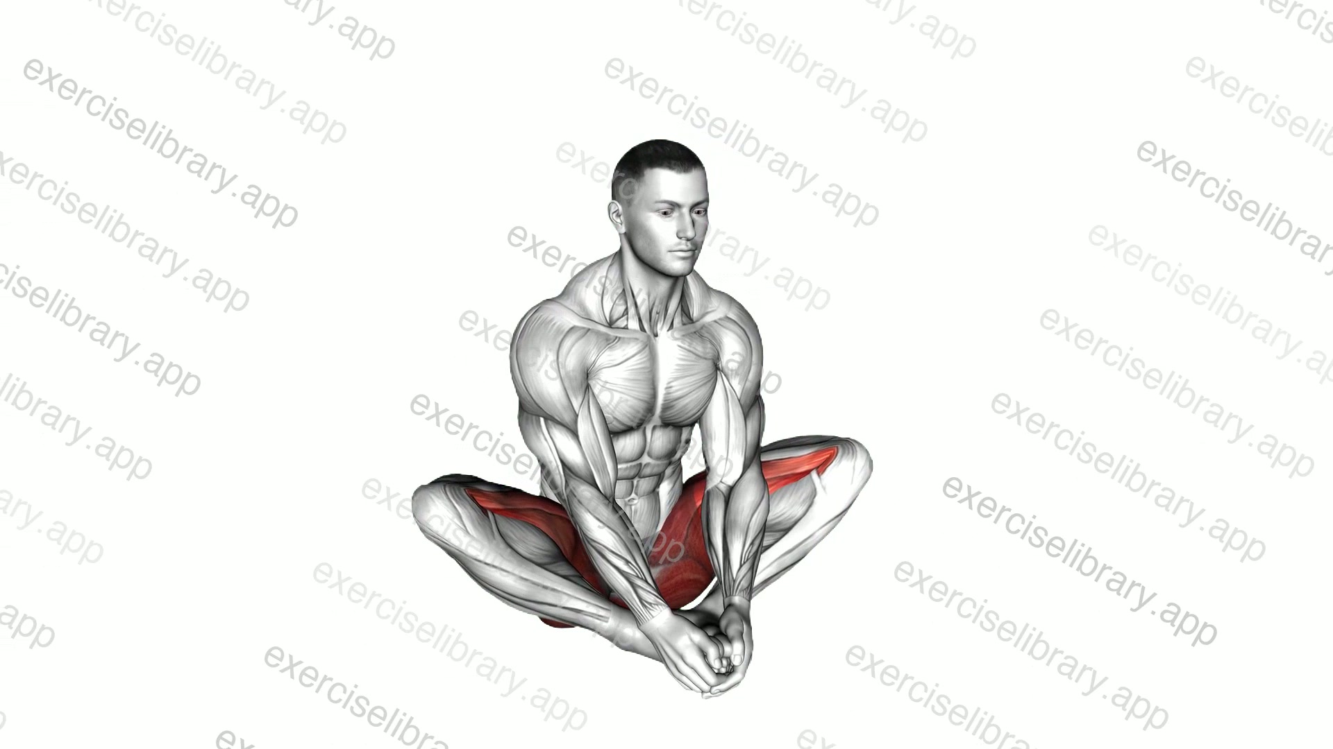 Butterfly Yoga Pose demonstration